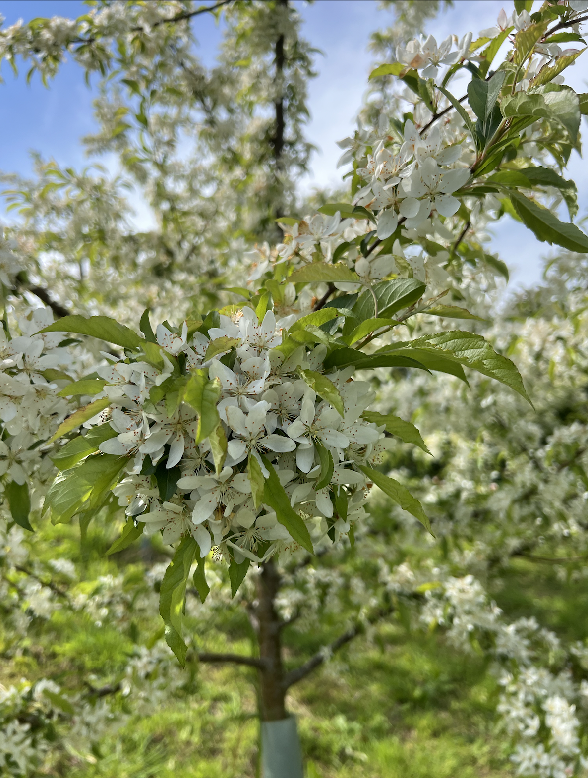 Screenshot 2026-01-07 at 7.40.34 PM.png