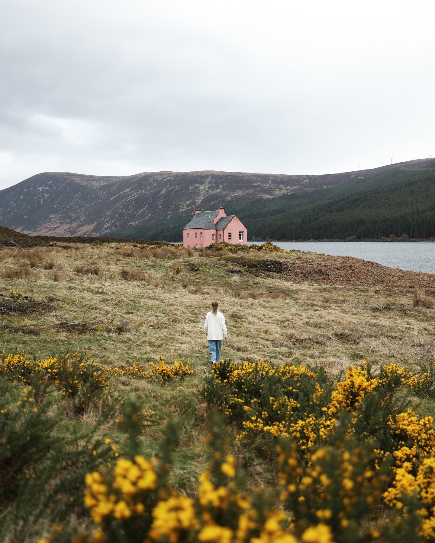 Dreaming of a walk through Scotland&rsquo;s insane landscapes ⛰🌼 
.
.
.
.
.
#scotland #scotland_greatshots #scotland_insta #scotlandexplore #scotlandtravel #scotlandshots #scotlandlover #scotlandtrip #scotlandroadtrip #loch #scotlandloch #lochglass 
