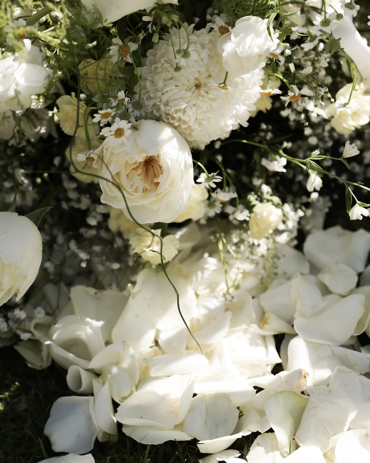 Millie &amp; Lee
.
Photography: @tuwy_media 
Videography: @tuwy_media 
Ceremony: Harrison Crescent Park 
Celebrant: Heleena Johnson Civil Celebrant
Makeup: @tlb_laserskinlashes 
Hair: @natina_hnb 
Dress: @adelaidebridalcollective 
Suit: @mensland_por