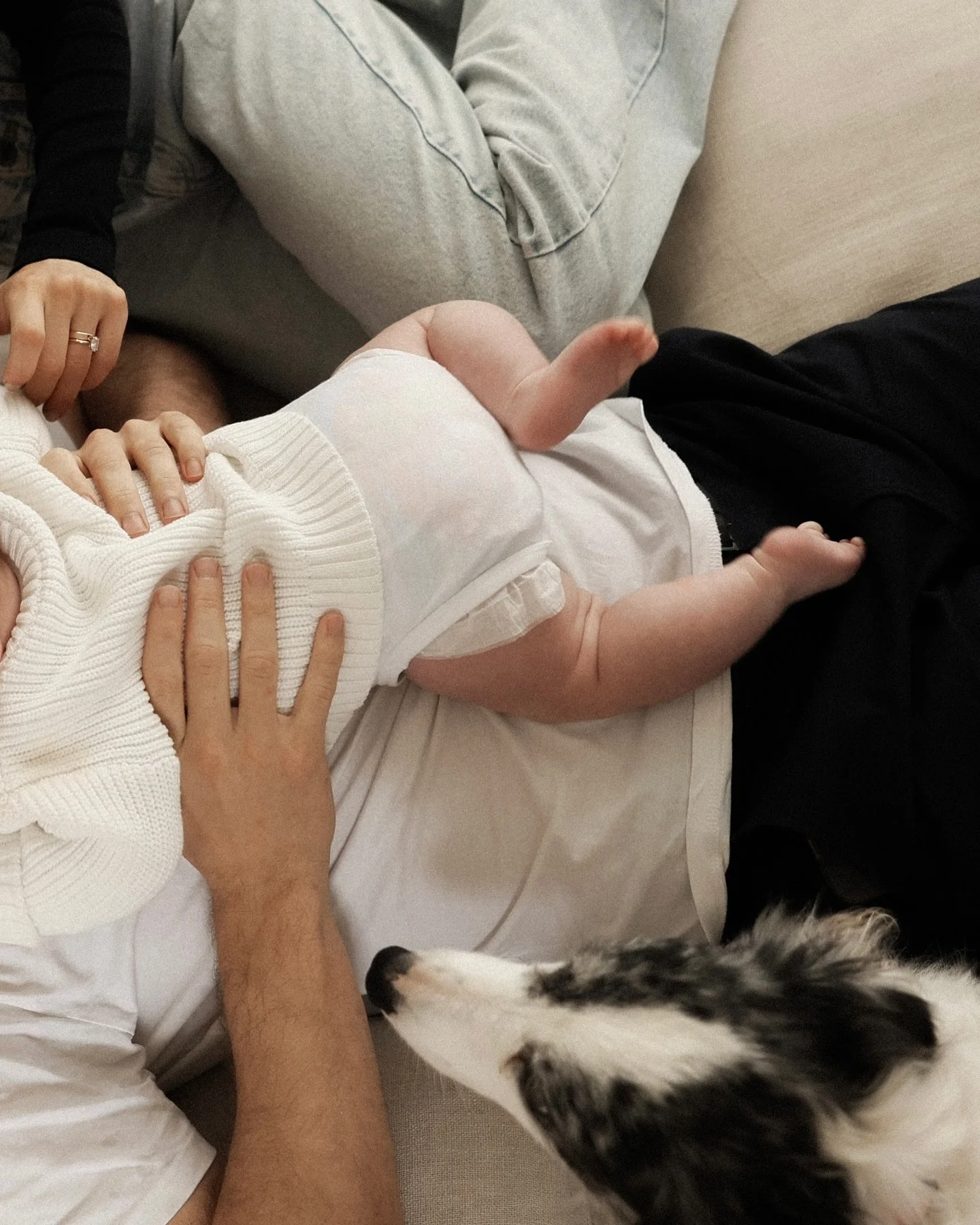 The sweetest little home session, for a family I adore 🤍
.
.
.
.
.
#family #familyphotoshoot #familyphotos #newbornbabyphotography #familyphotographer #familyphotographers #adelaidefamilyphotographer #fleurieupeninsula #fleurieupeninsulaphotographer