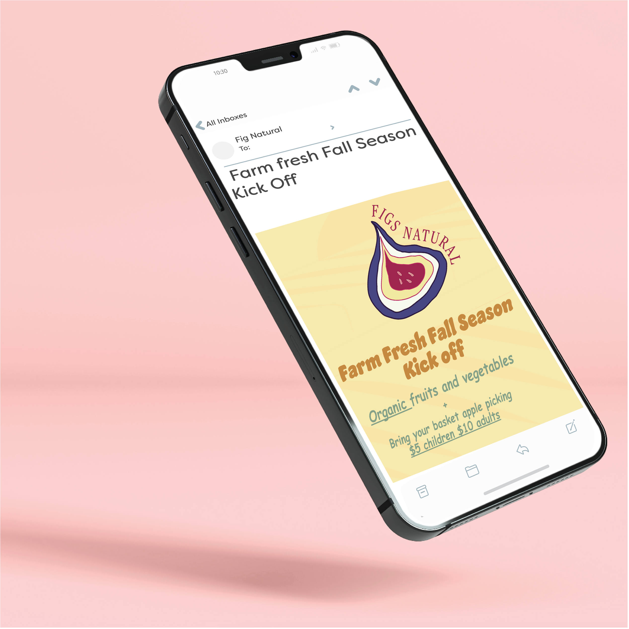 Figs Natural email campaign mockup