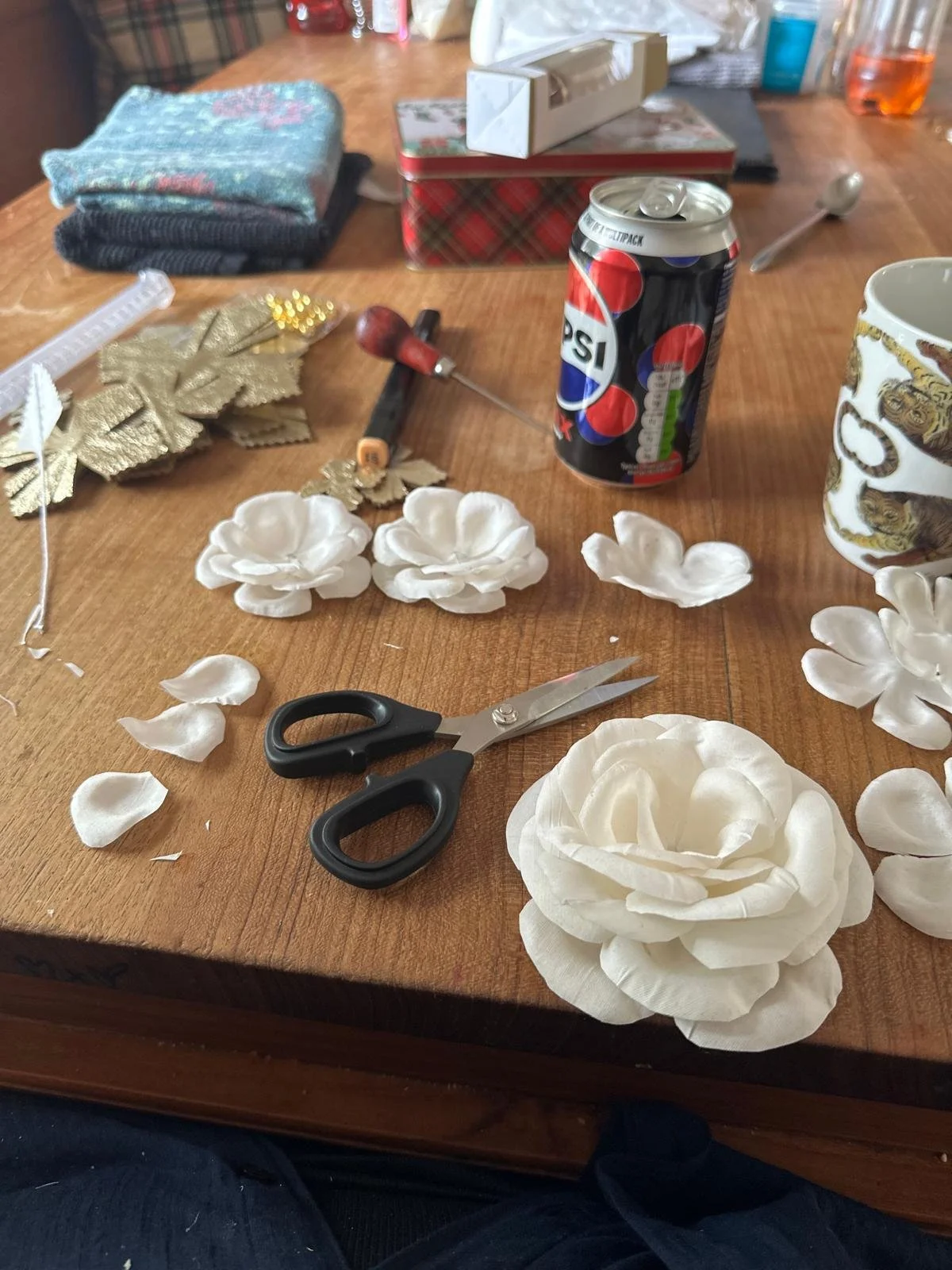 PHOTO-2025-07-31-09-49-31 2.jpg