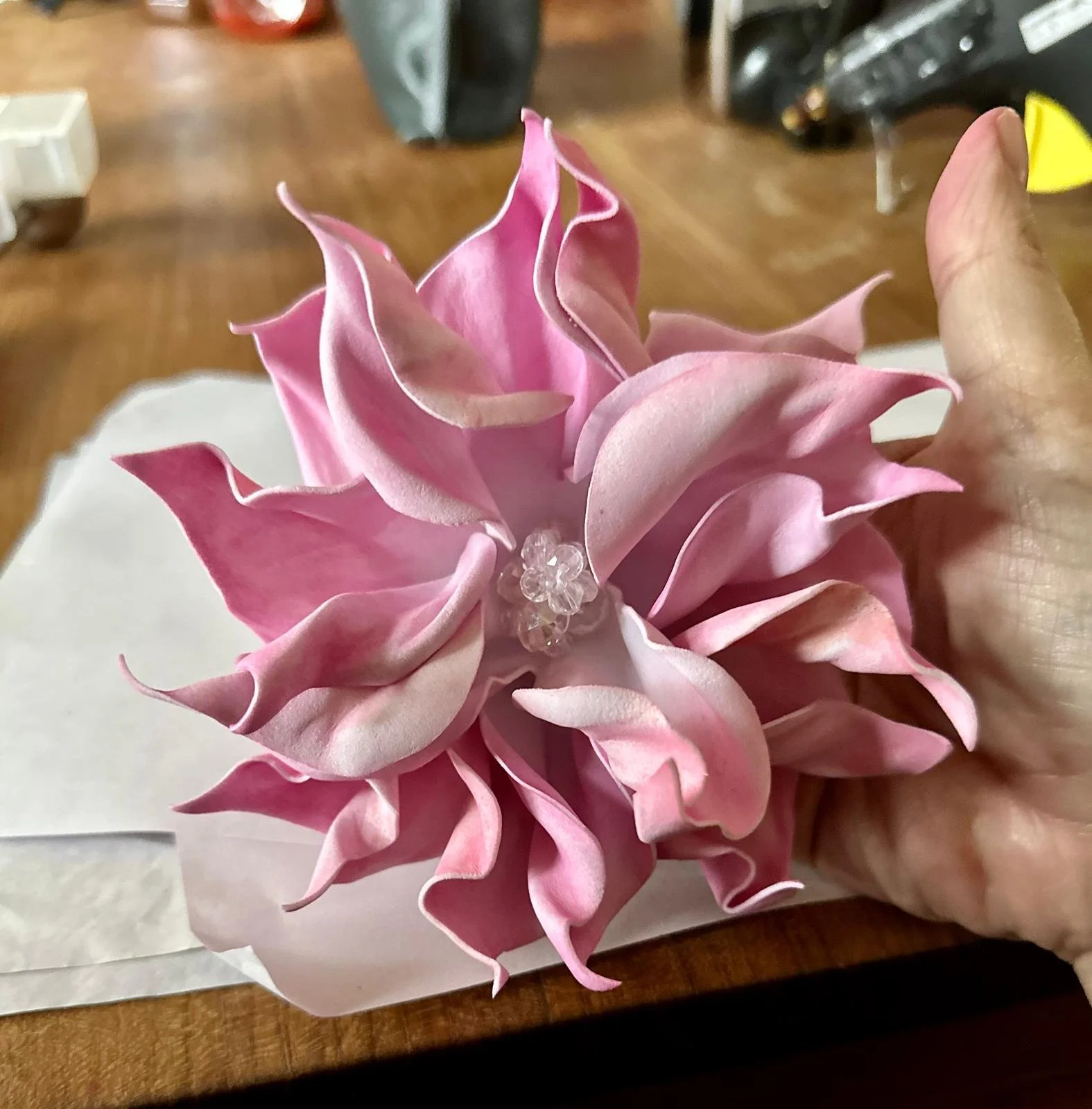 PHOTO-2025-07-31-10-18-06 2.jpg