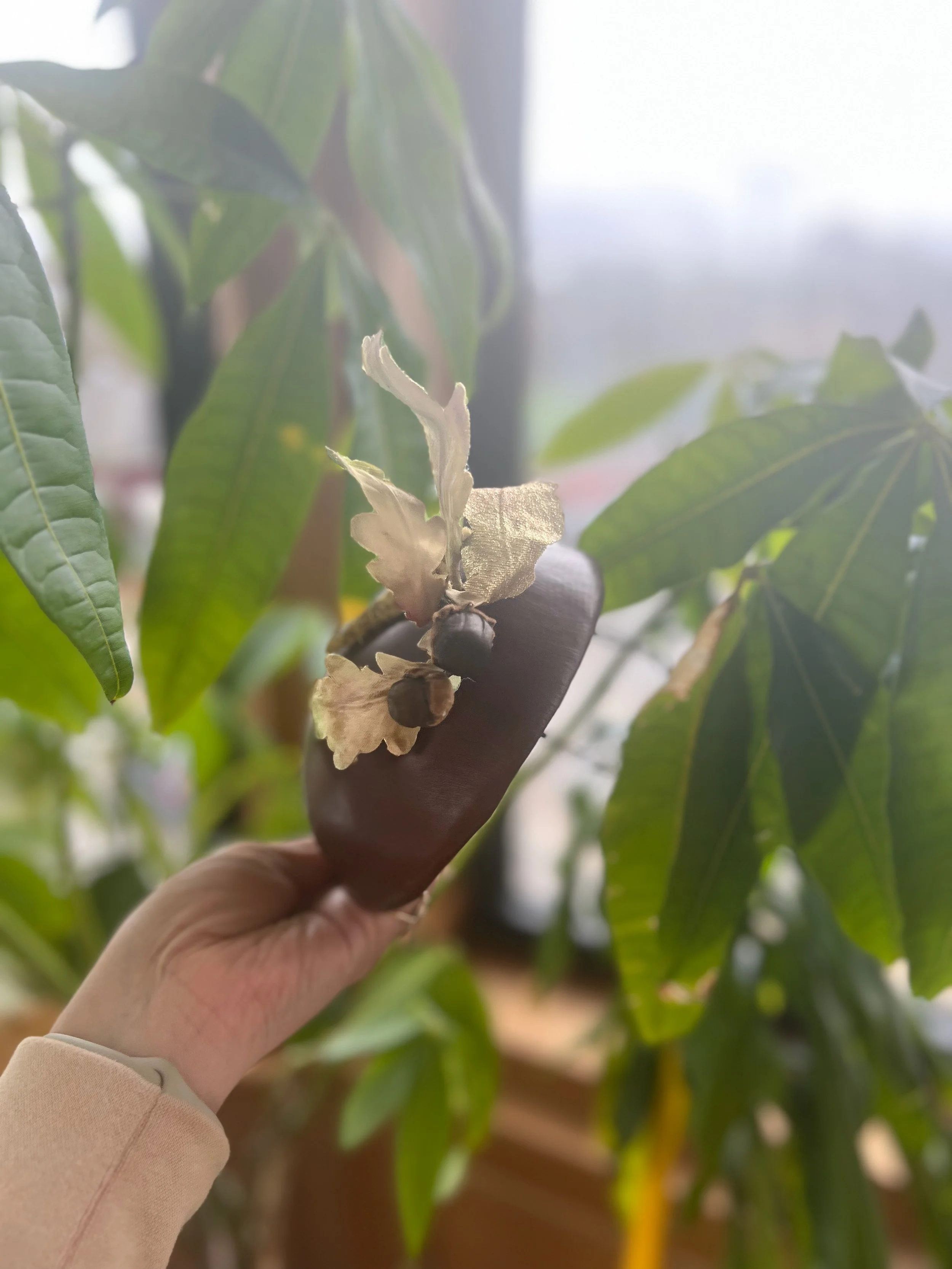 Results for- home - 3 of 3.jpeg