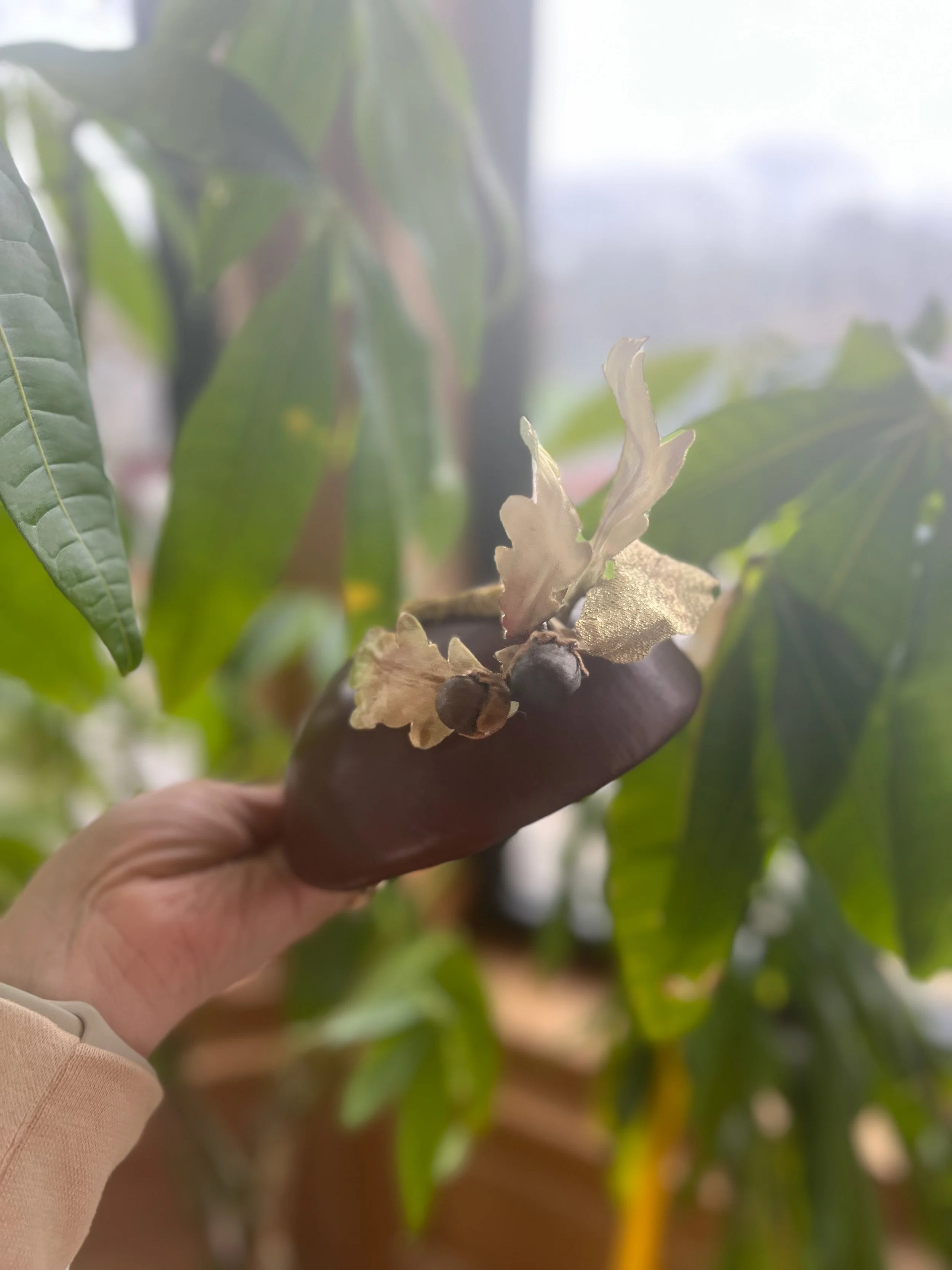 Results for- home - 2 of 3.jpeg