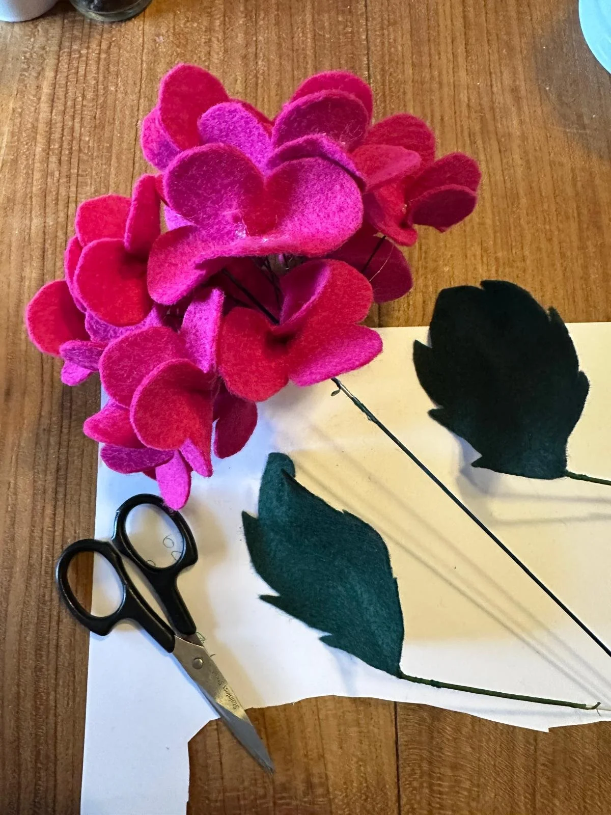 PHOTO-2025-07-31-10-18-06 3.jpg