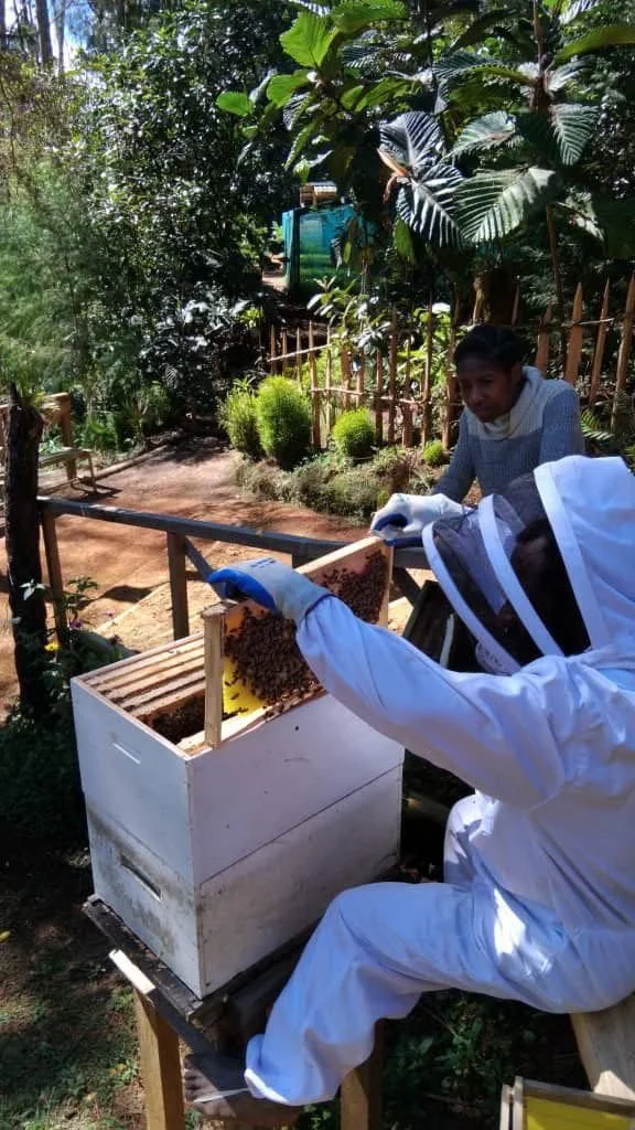 WhatsApp Image 2025-09-14 at 1.37.31 PM (1).jpeg