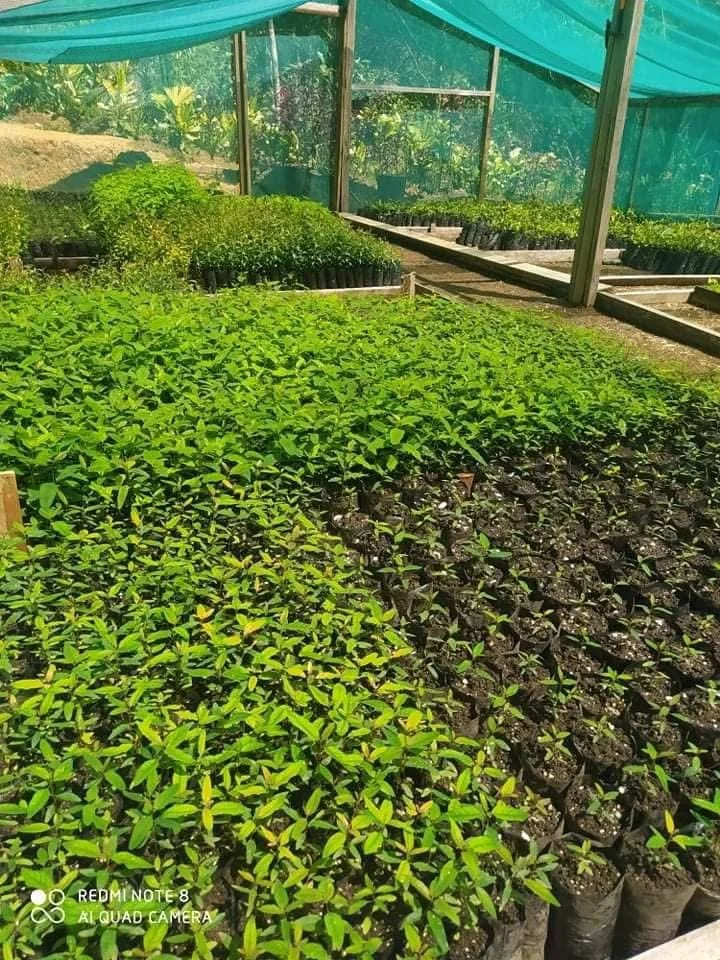 WhatsApp Image 2025-09-17 at 1.28.48 PM (2).jpeg