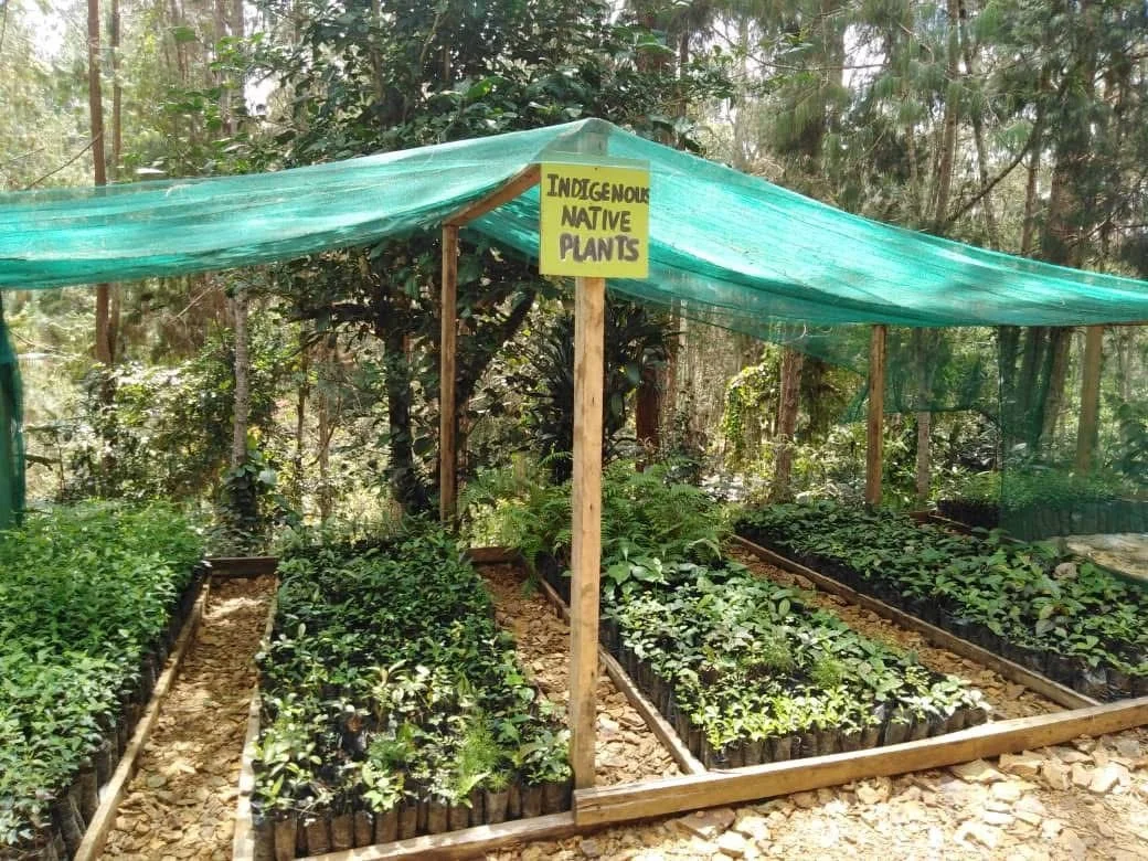 WhatsApp Image 2025-09-17 at 1.28.48 PM (1).jpeg