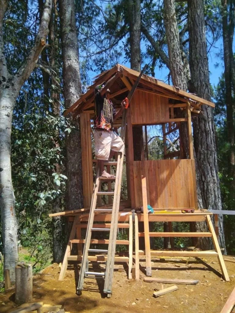 WhatsApp Image 2025-09-17 at 12.30.32 PM.jpeg