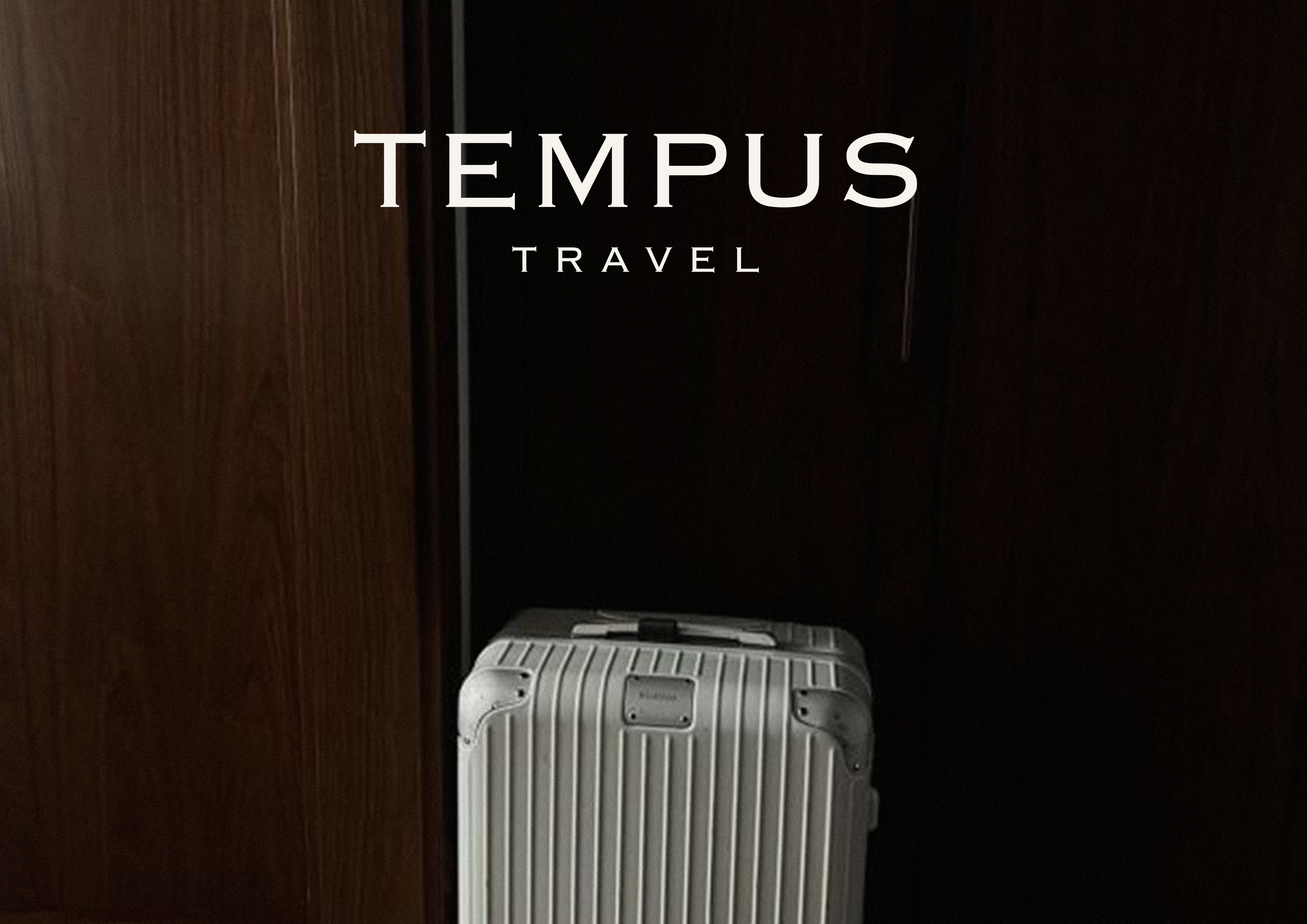 tempus-branding-1.png
