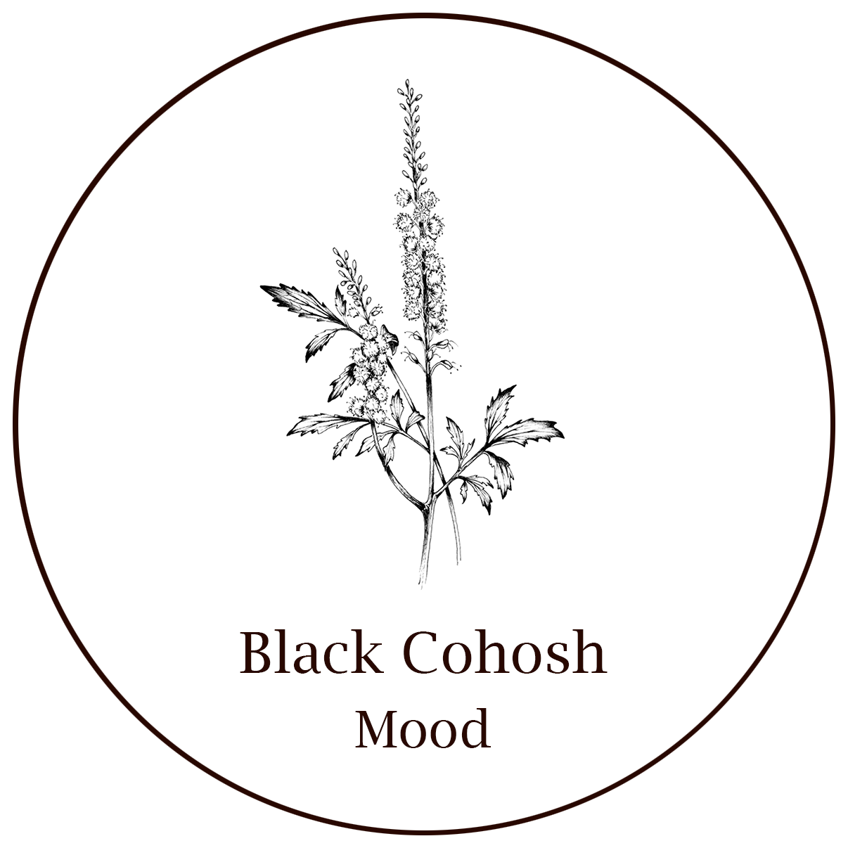Black Cohosh.png
