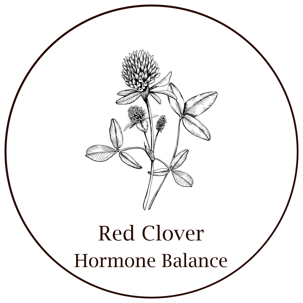 Red Clover.png