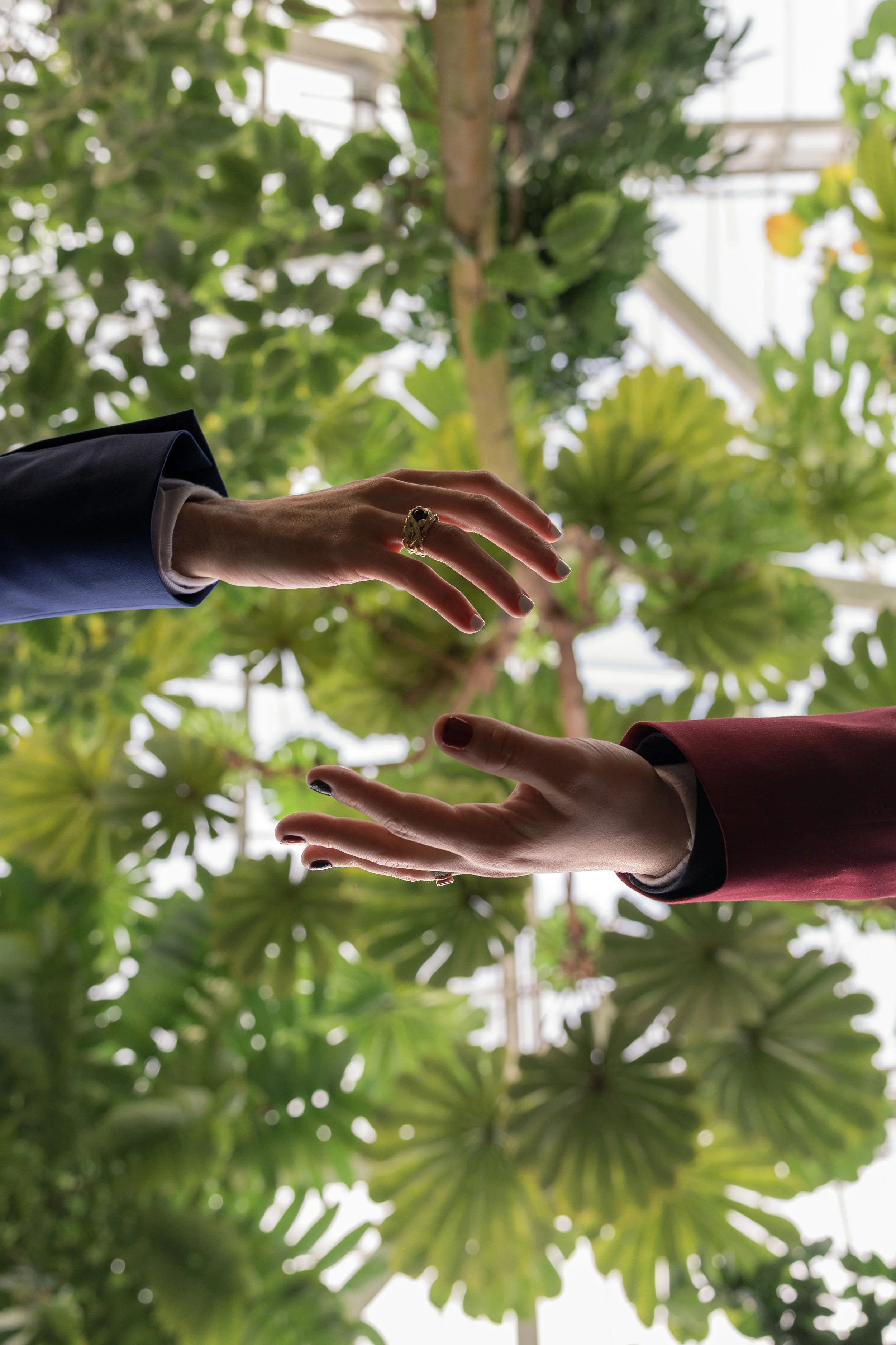 Two hands reaching towards each other against a backdrop of green foliage and leaves.