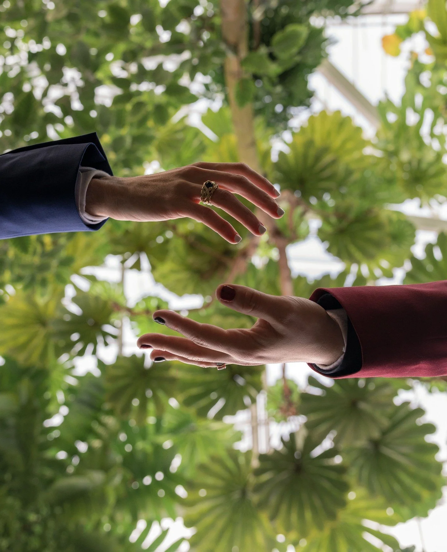 Sometimes the most powerful moments are born the moment we step beyond what feels safe and familiar. In every stretch, there&rsquo;s courage - a quiet decision to grow, to connect, to explore what lies just a little further. Reaching is never just ab