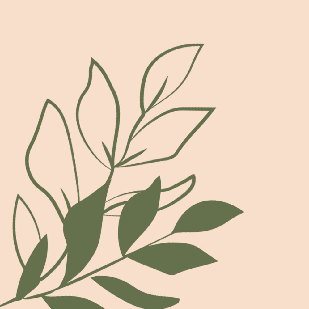 BEX CREATE IS BLOOMING... ​​​​​​​​​
Introducing a new brand, era and aesthetic.

Thank you for following our journey.