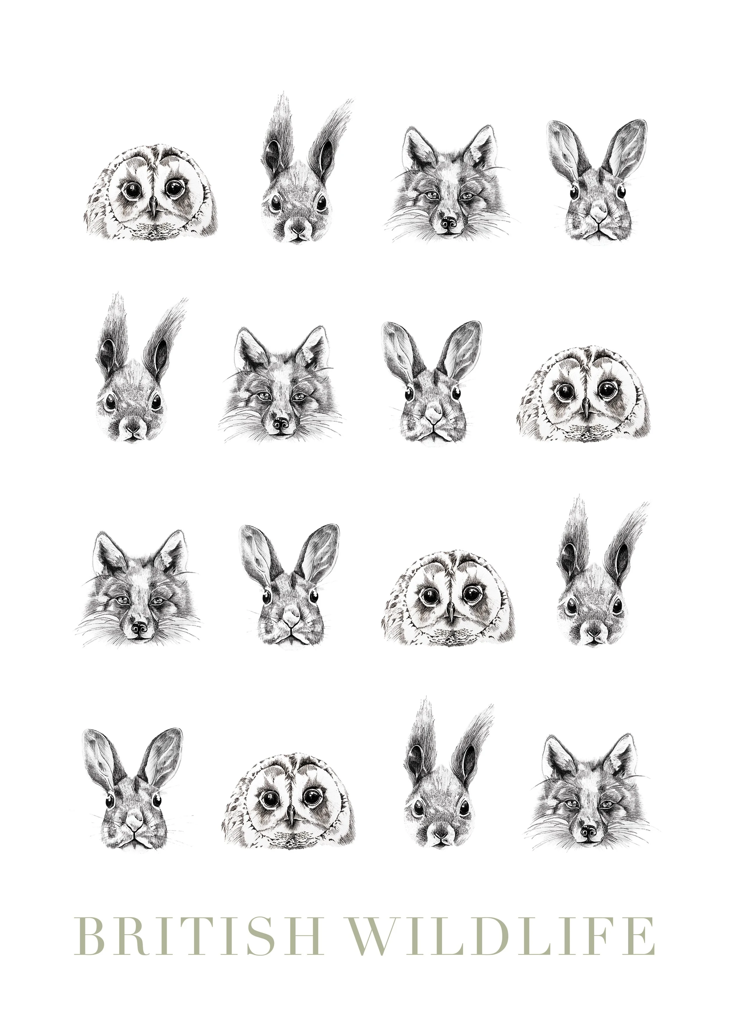 British Wildlife.jpg