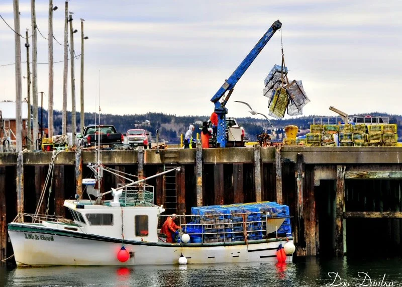 dec7,13 boat and traps1a.jpg