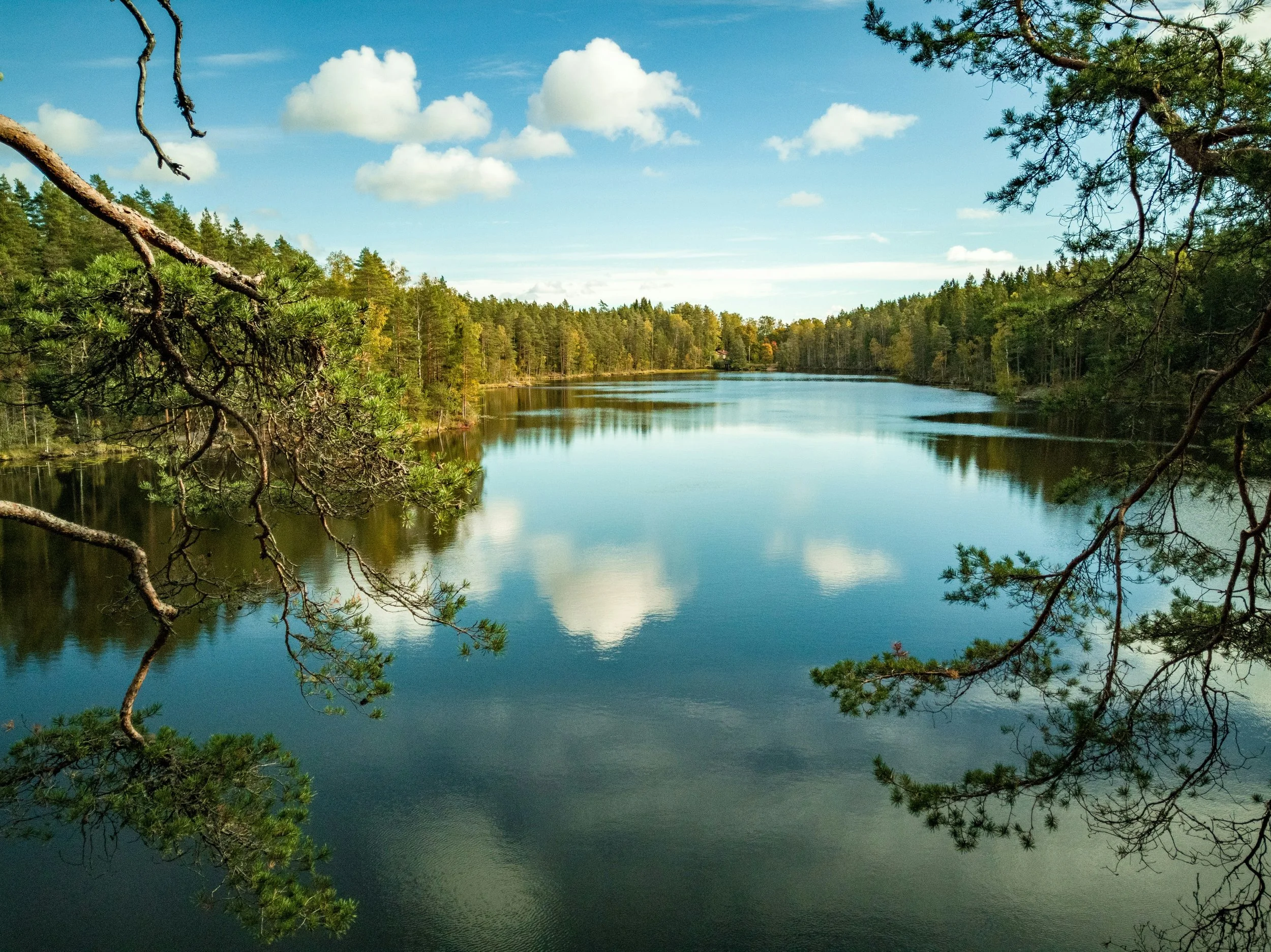 Sun &amp; Light — Five Senses Retreats, Finland