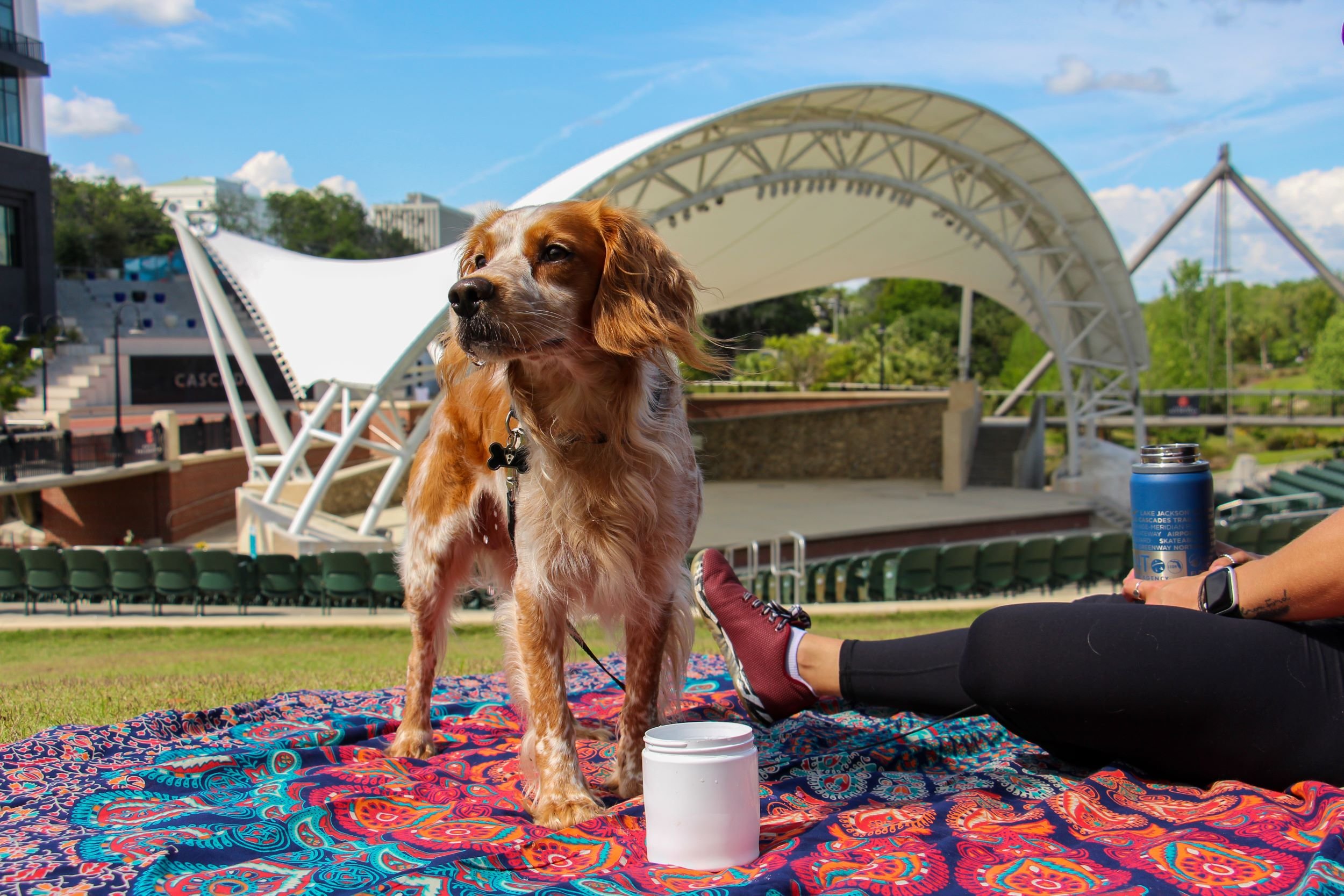 Adderley Amphitheater at Cascades Park