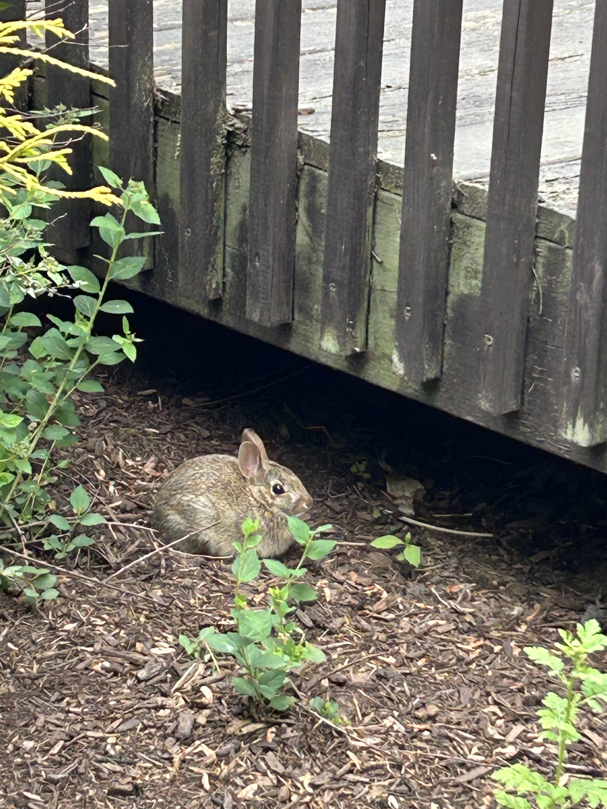 IMG_0142.jpeg