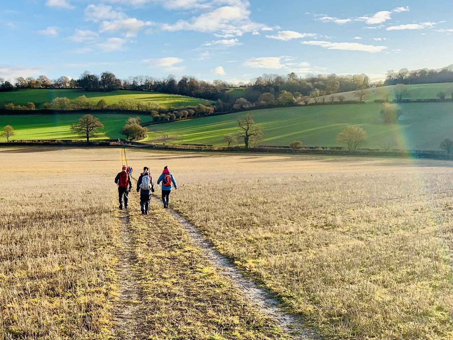 Why I Started Walking in Circles — And Why I Haven’t Stopped