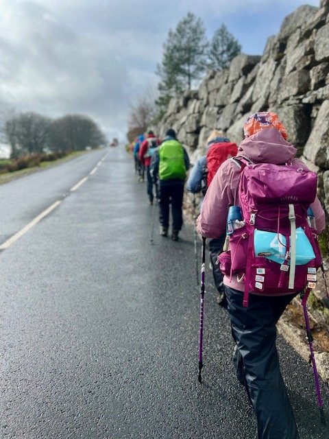 Long-distance walkers during a walking challenge