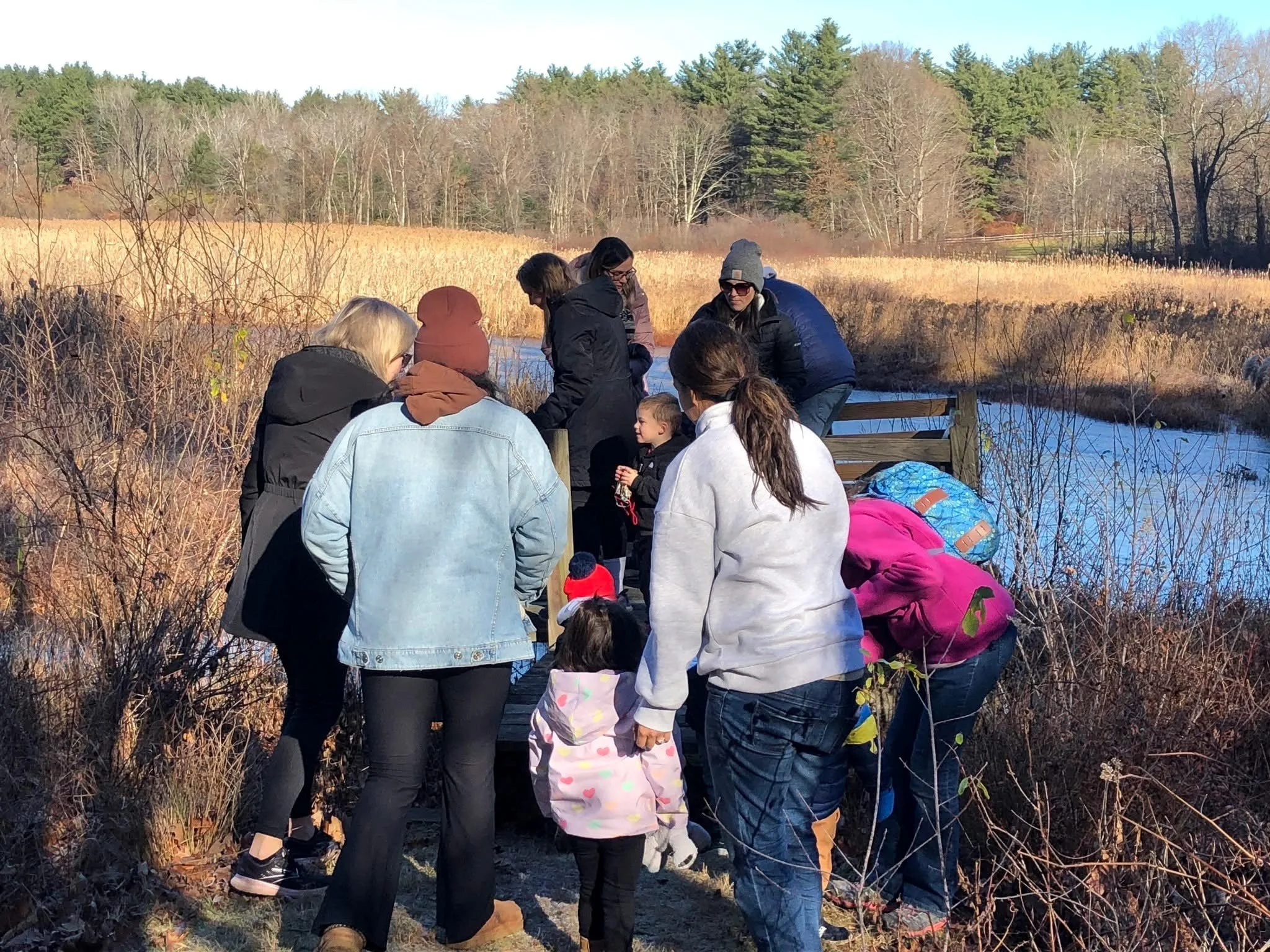 Butterflies at pond.jpg