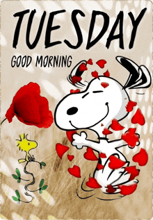 Tuesday Playgroup: Session 2