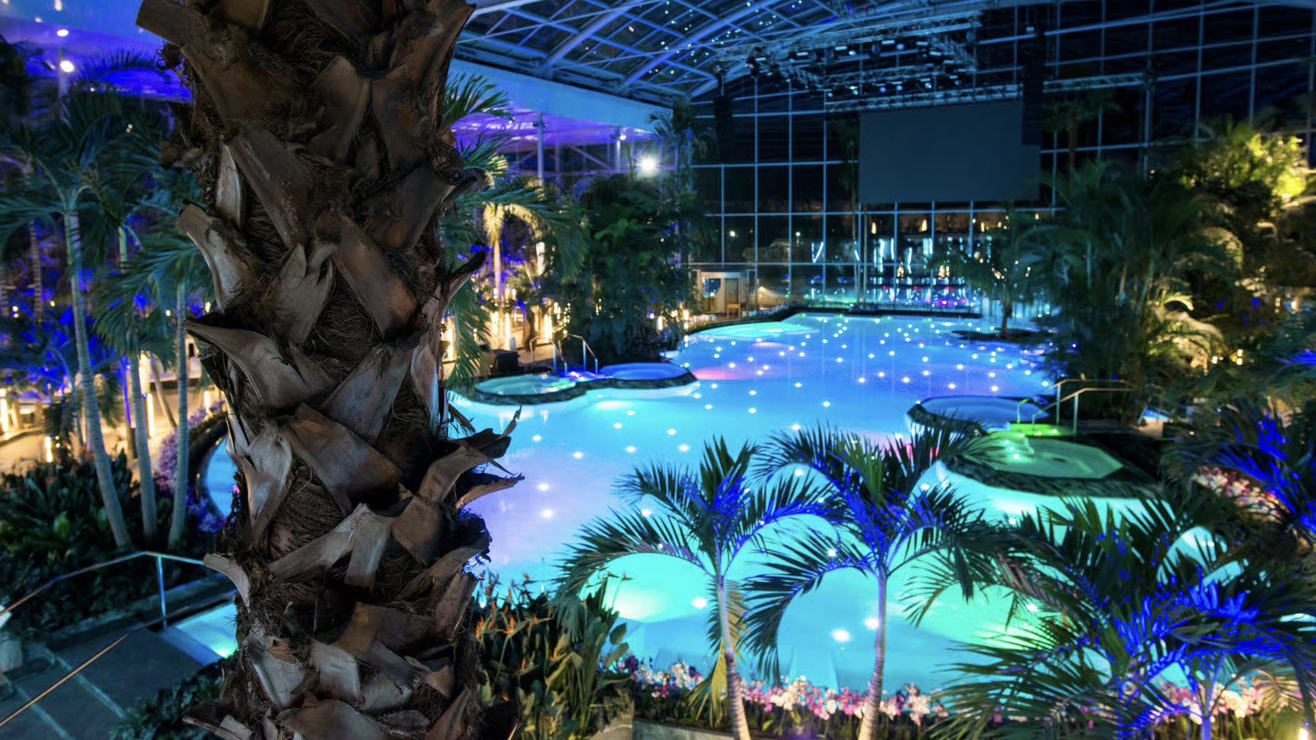 Terme Bucarest.001.jpeg