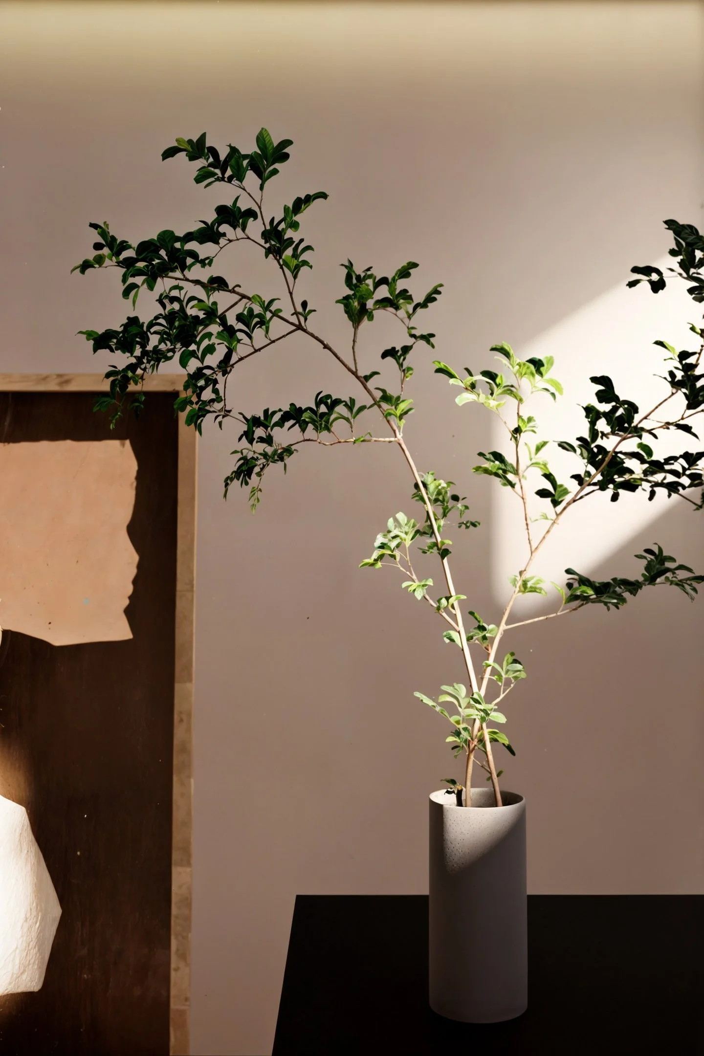 Renovated Historic Basement Multifunctional Space Interior Design