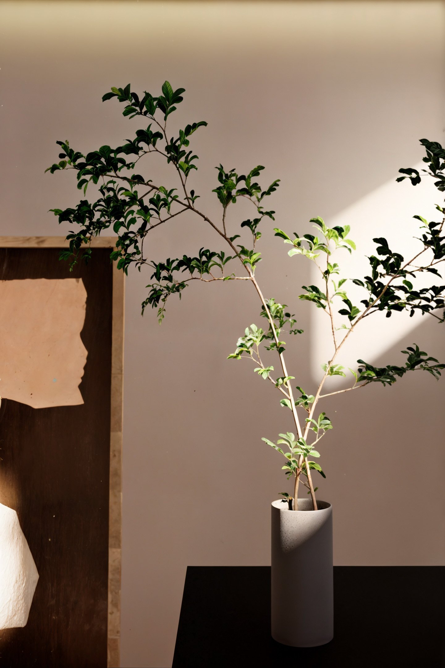 Renovated house basement transformed into a versatile multifunctional space with modern design elements.