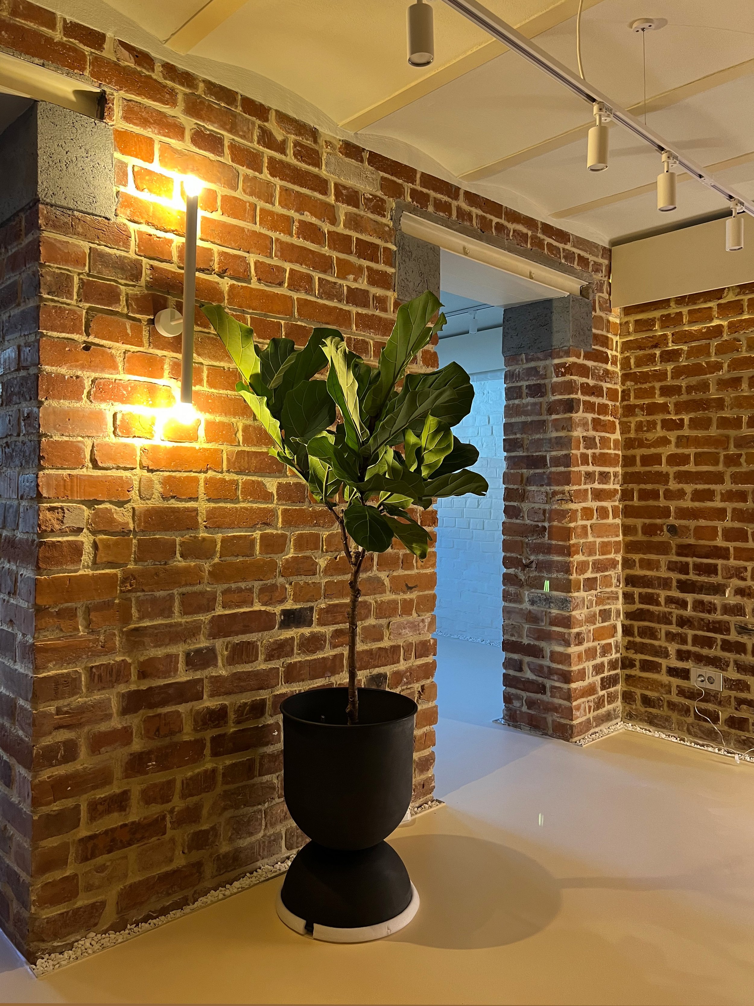 Renovated house basement transformed into a versatile multifunctional space with modern design elements.