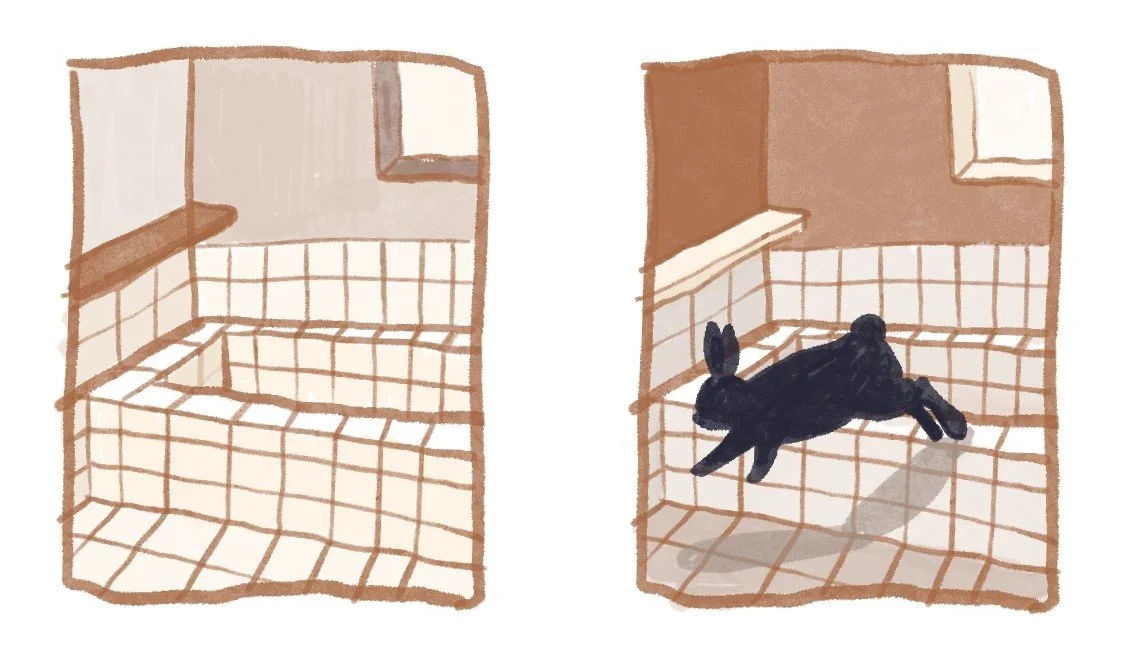 Illustration of a dog jumping onto a bed, shown in two frames: first frame is an empty bed, second frame is the black dog mid-jump on the bed.