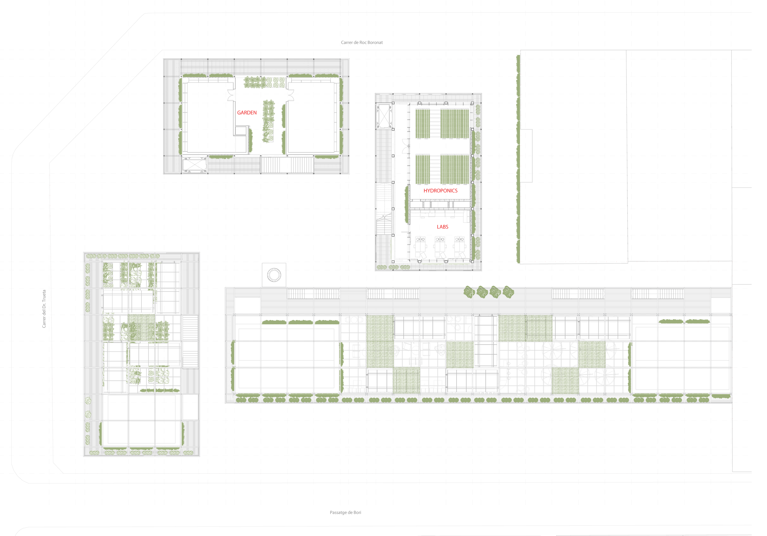 Botanic University Campus and Public Garden architecture project, featuring diverse spaces and sustainable technologies for community interaction.