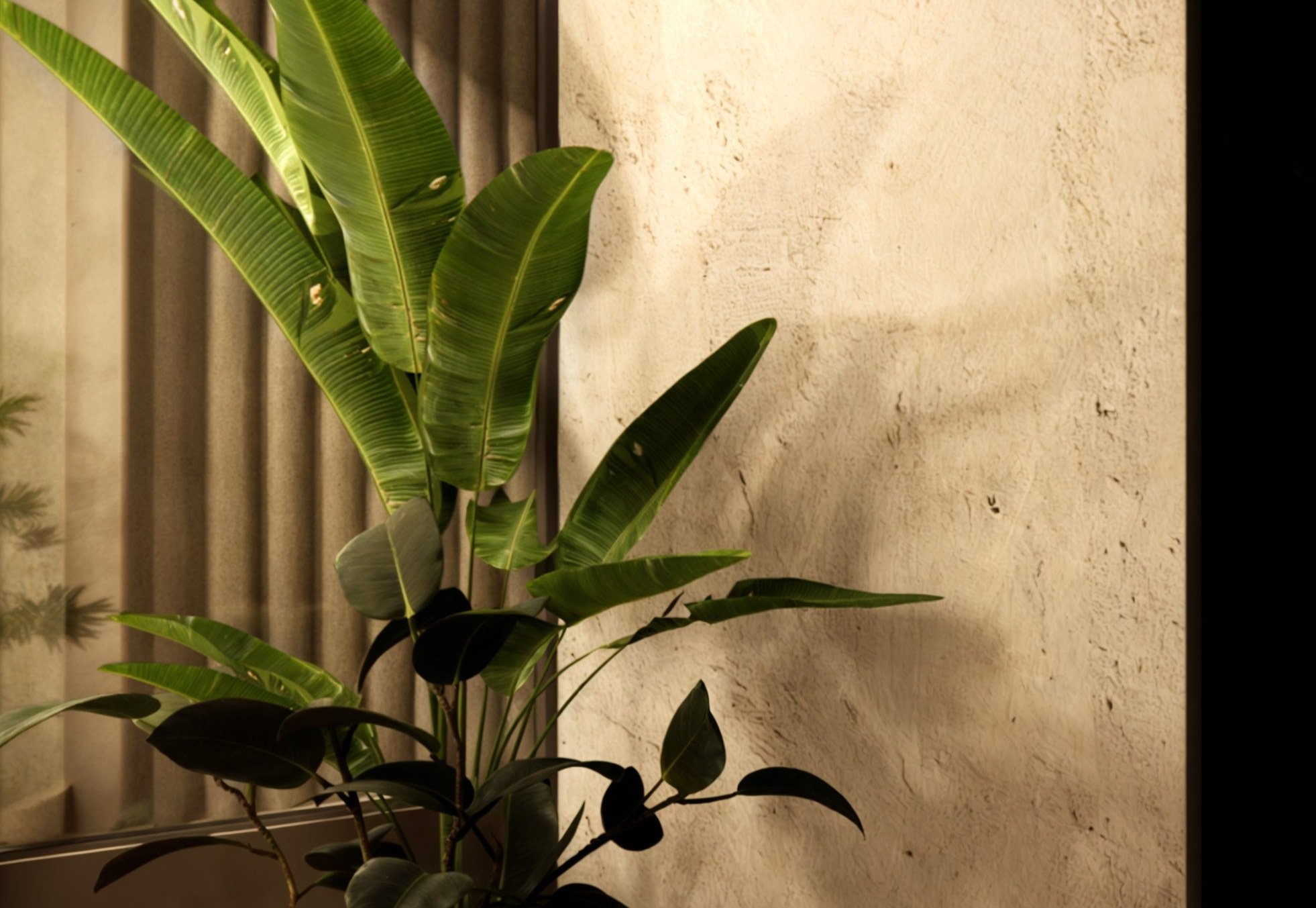 Renovated Historic Basement Multifunctional Space Interior Design