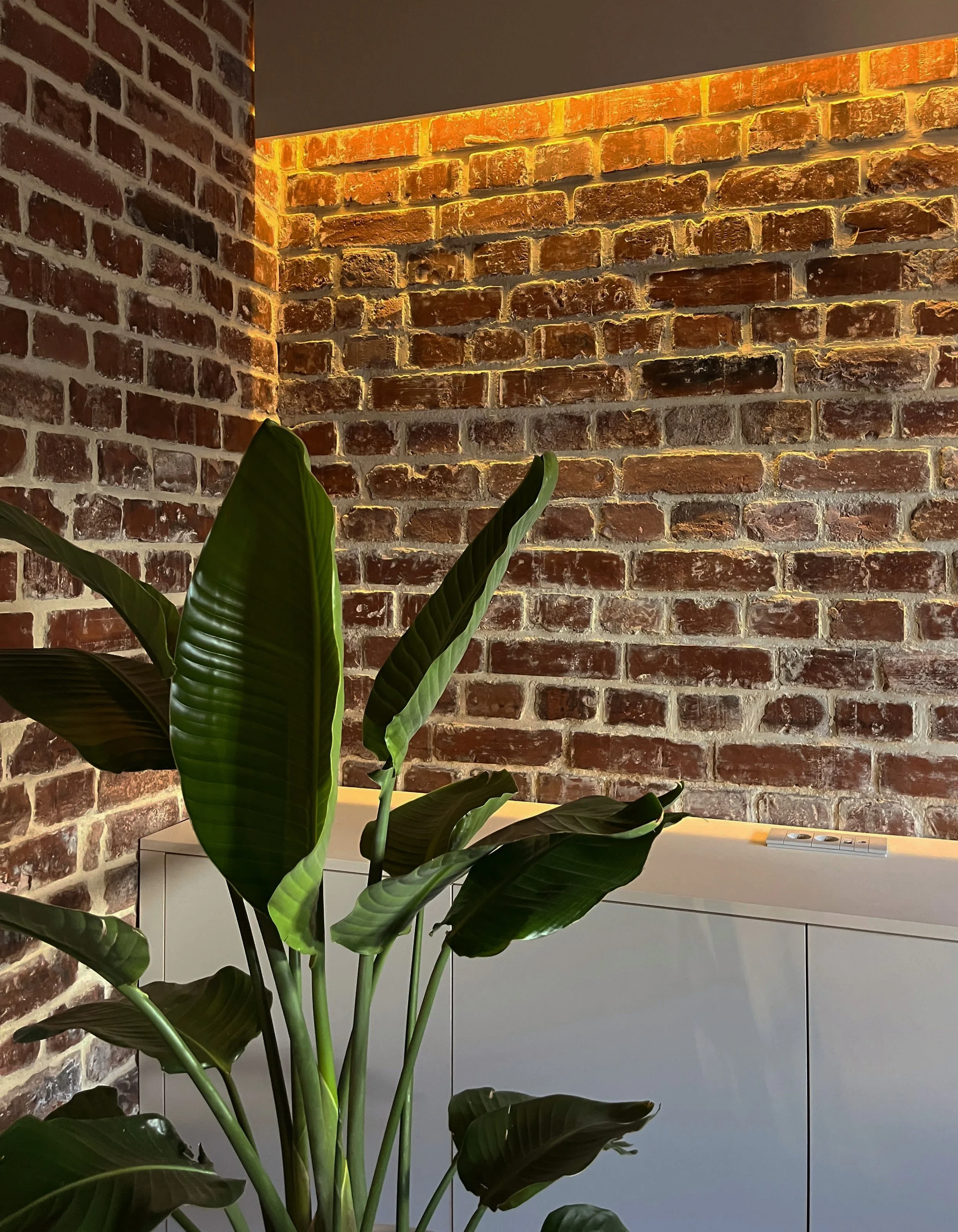 Renovated house basement transformed into a versatile multifunctional space with modern design elements.