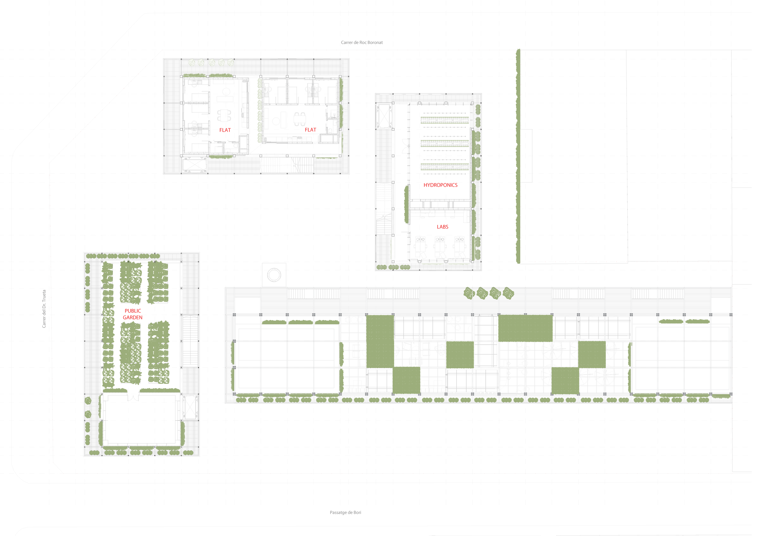 Botanic University Campus and Public Garden architecture project, featuring diverse spaces and sustainable technologies for community interaction.