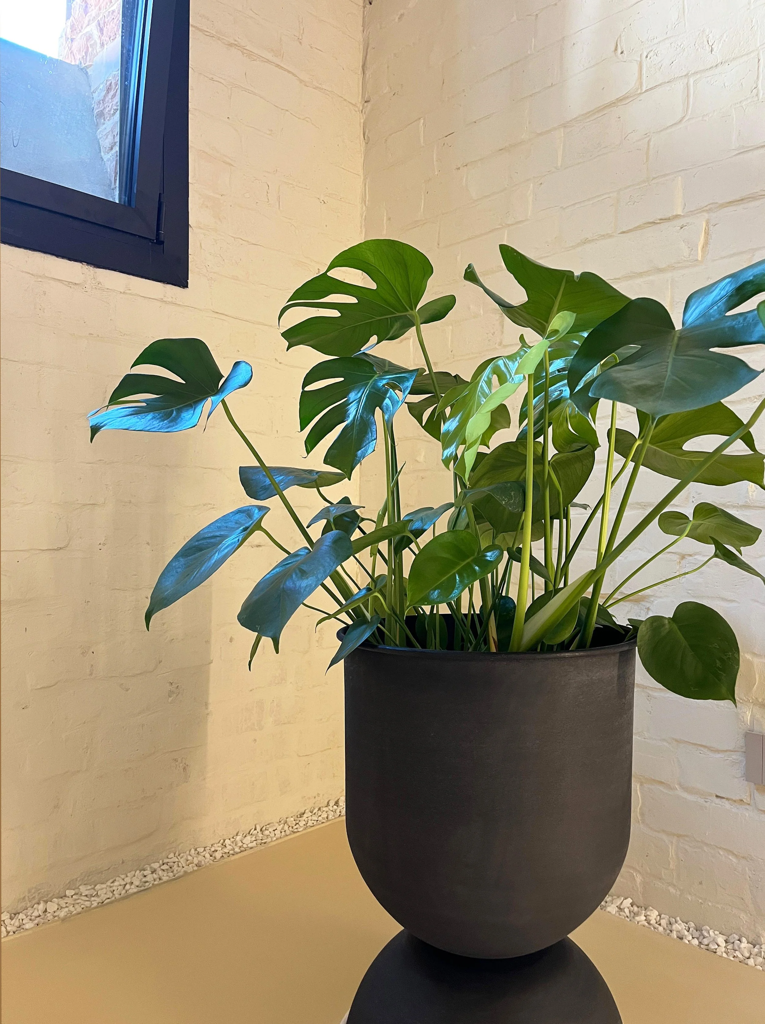 Renovated house basement transformed into a versatile multifunctional space with modern design elements.