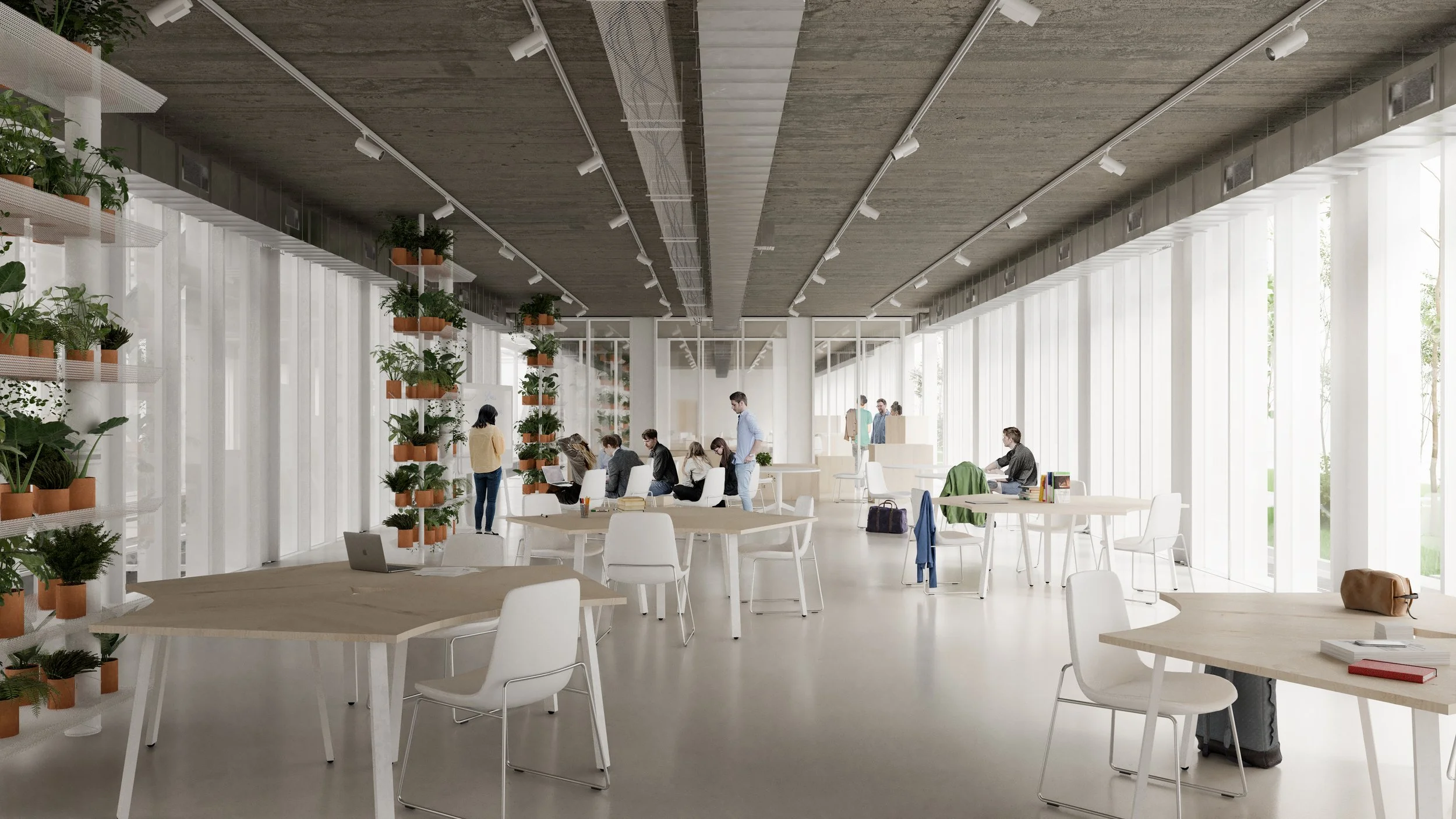 Botanic University Campus and Public Garden Architecture