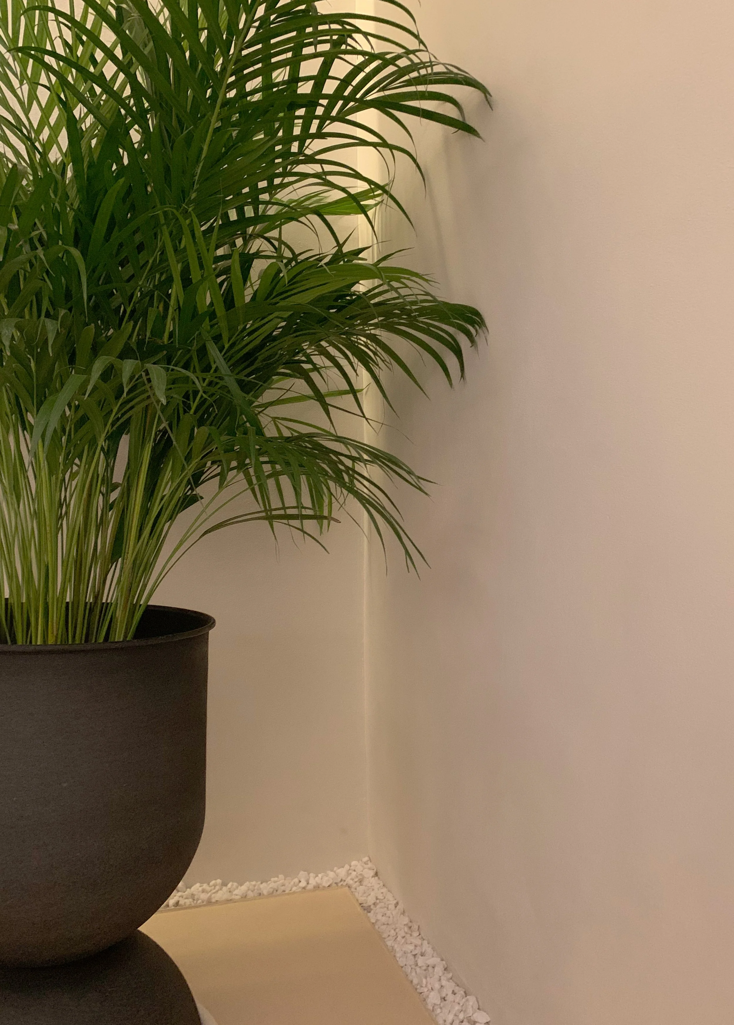 Renovated house basement transformed into a versatile multifunctional space with modern design elements.