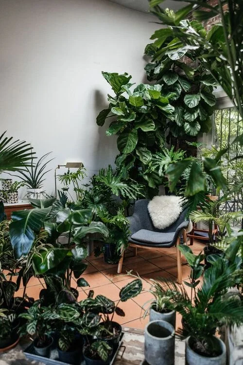 Green room pour lutter contre la chaleur