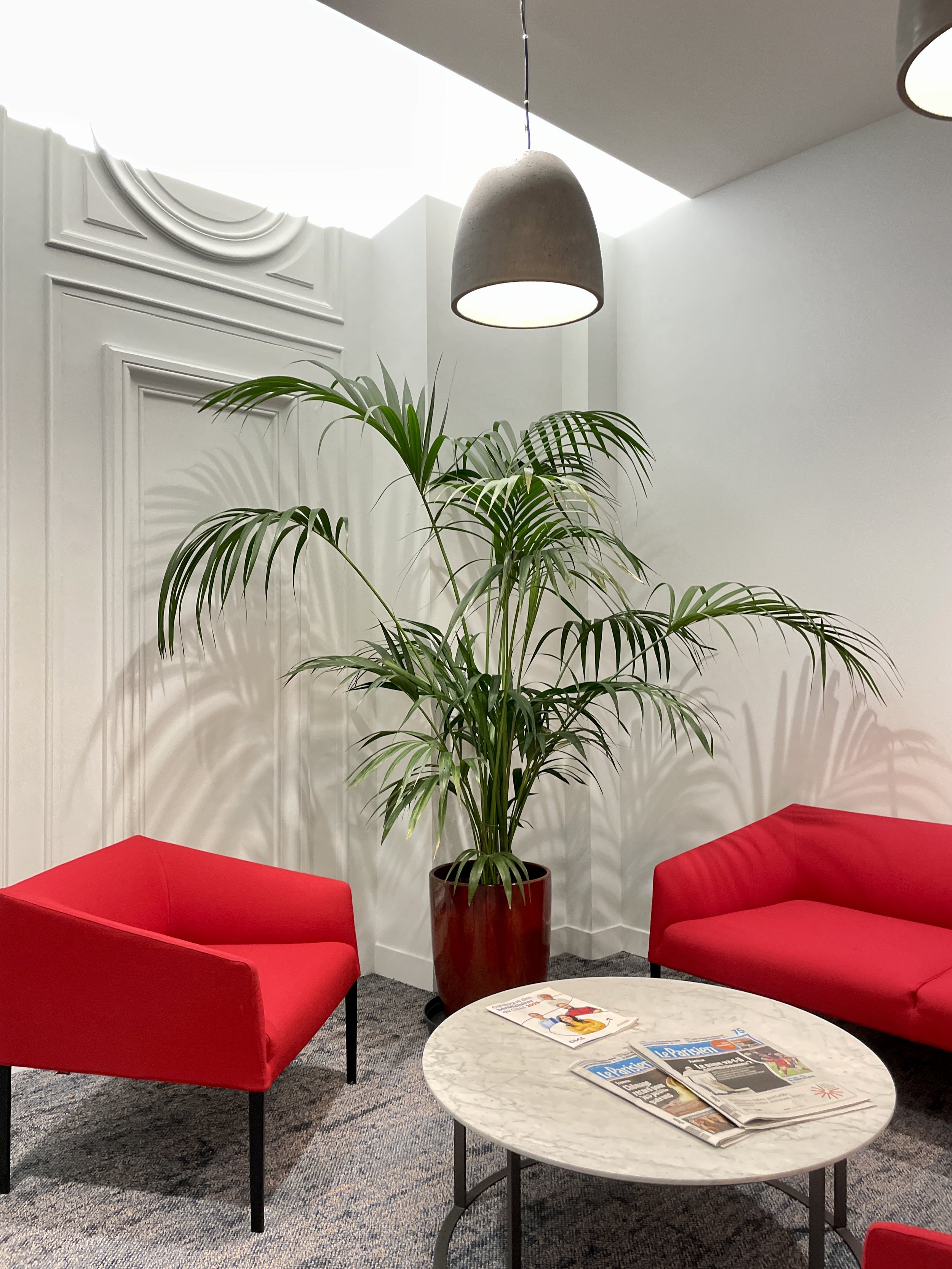 SIGEIF_2025_aménagement_plantes_vivantes (41).jpeg