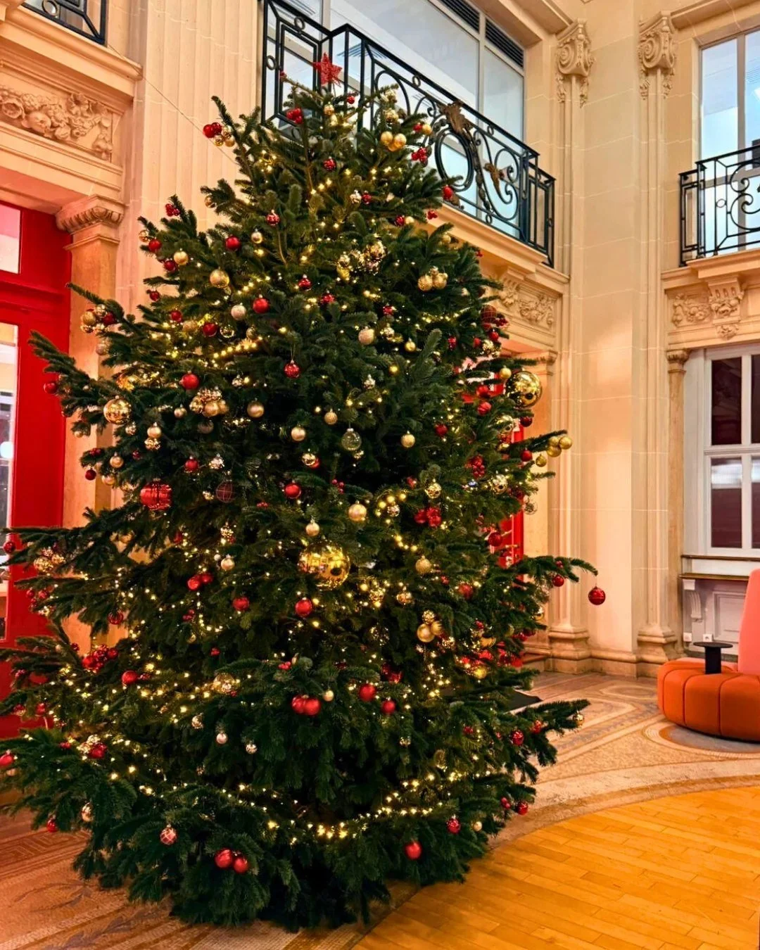 sapin-noel-hall-haussmannien-platan.jpg