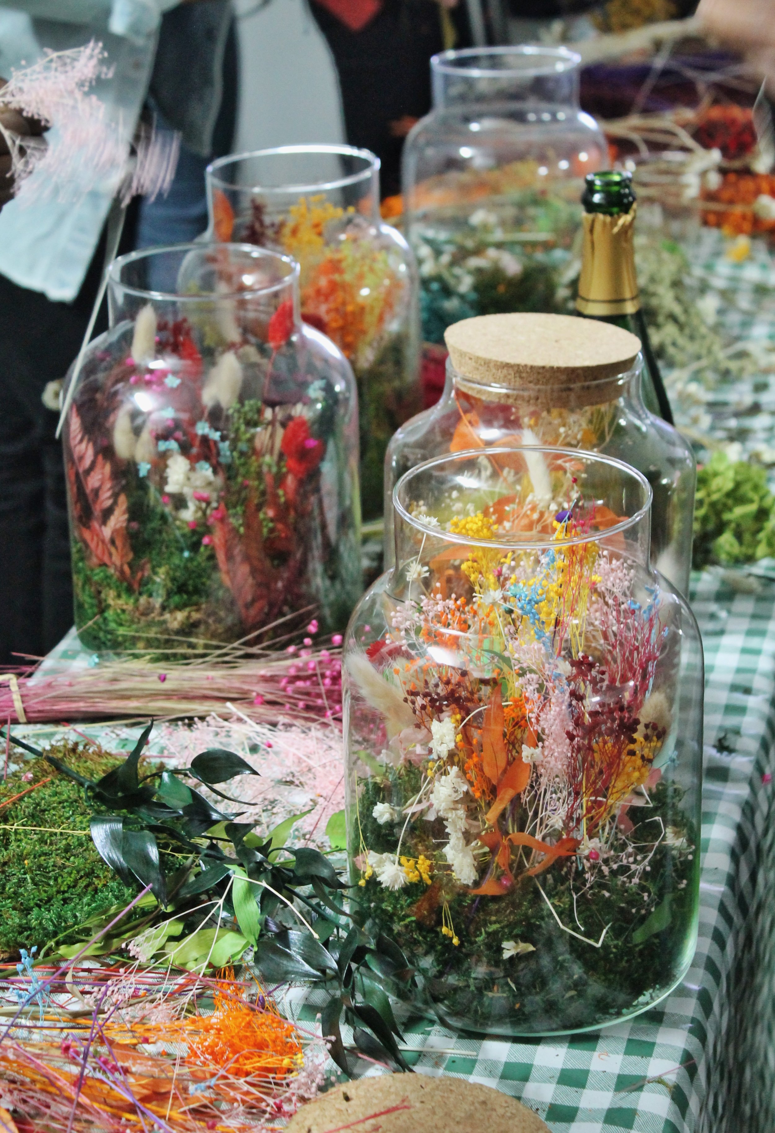 Ministere_transition_ecologique_2022_AMV_Terrarium_floral0.jpeg