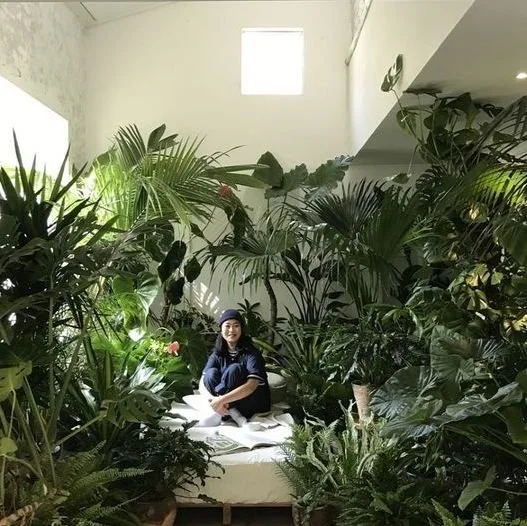 Green room pour lutter contre la canicule