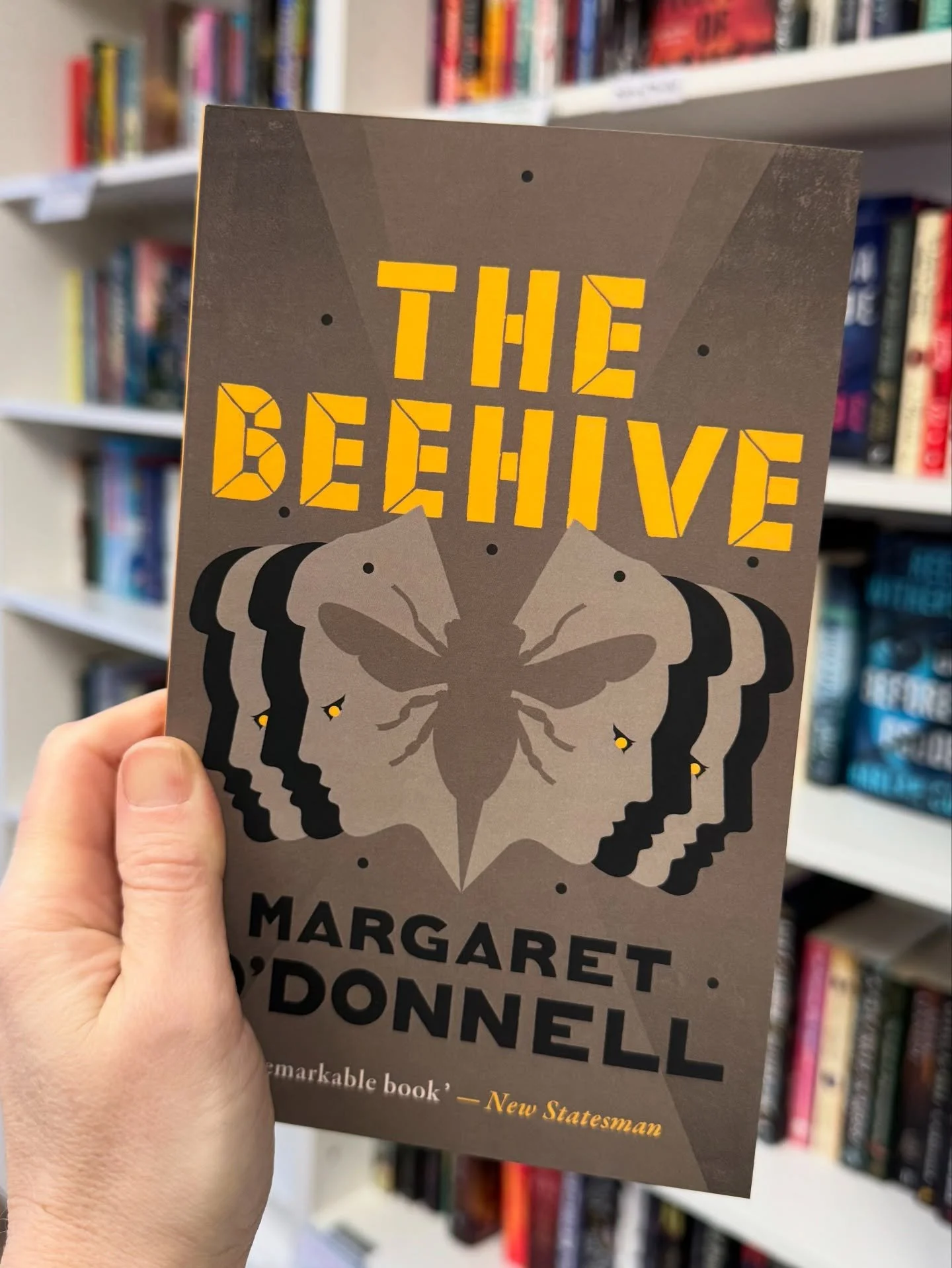 If you need a copy of THE BEEHIVE by Margaret O&rsquo;Donnell for January&rsquo;s book club, we have more in stock! Come grab your copy and then meet us on TUESDAY January 27th at 6:30 PM to discuss.

Please note the date change. We will need to meet