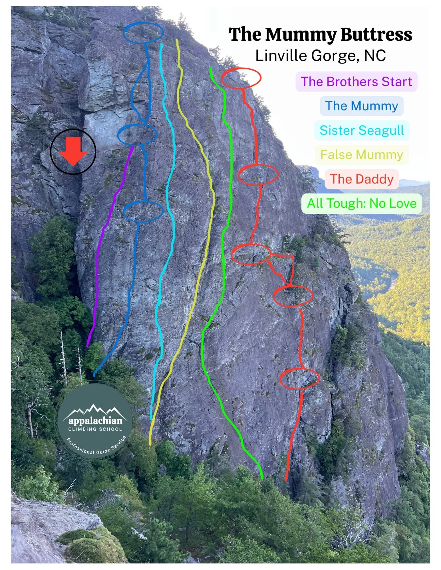 Climbing route map on a rocky cliff face showing six routes marked in different colors: purple, blue, yellow, green, orange, and red. The background features a mountain landscape with lush green trees and a partly cloudy sky. The map is titled 'The M