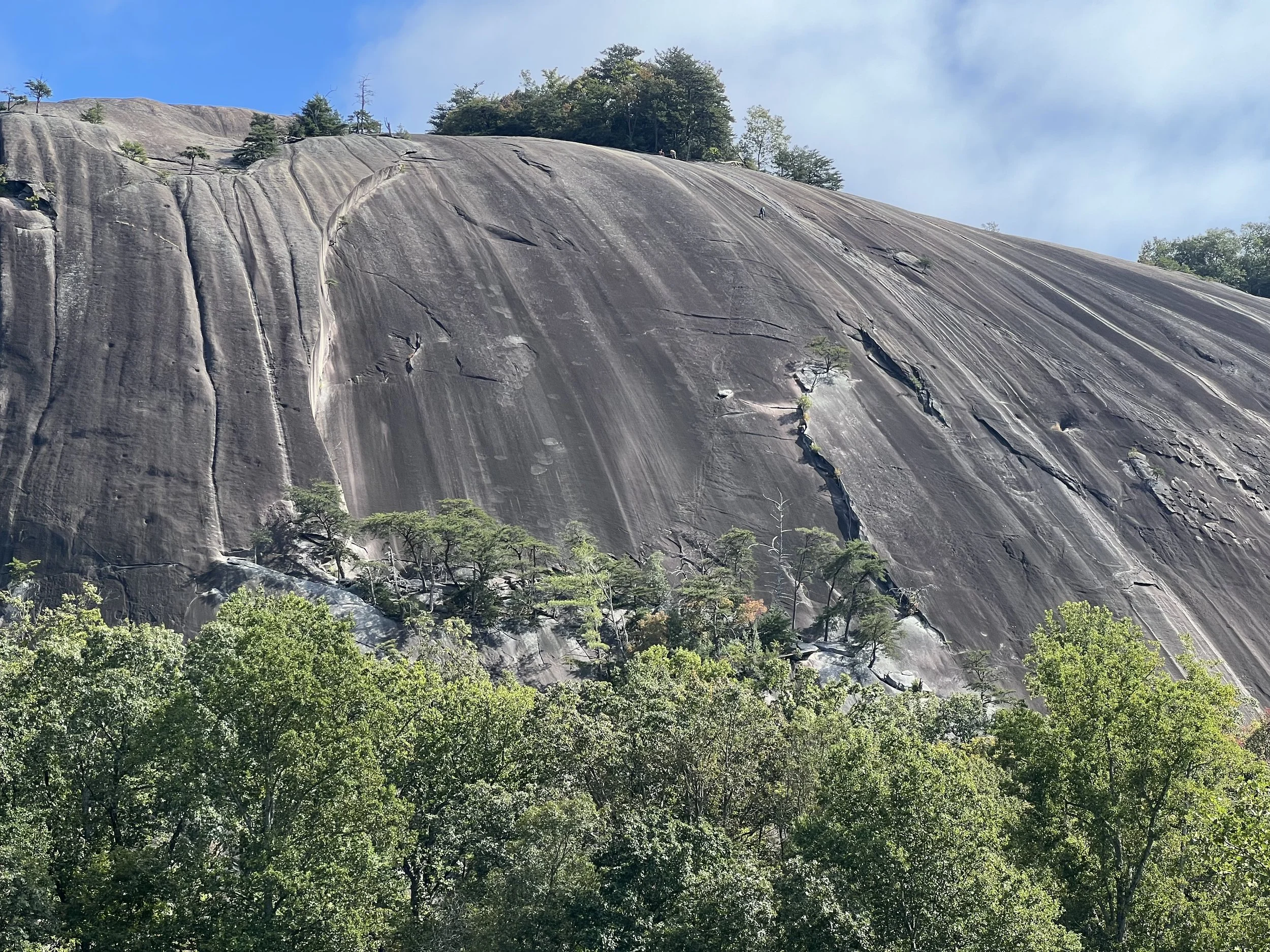 Granite rock face with trees and greenery at base under a blue sky.