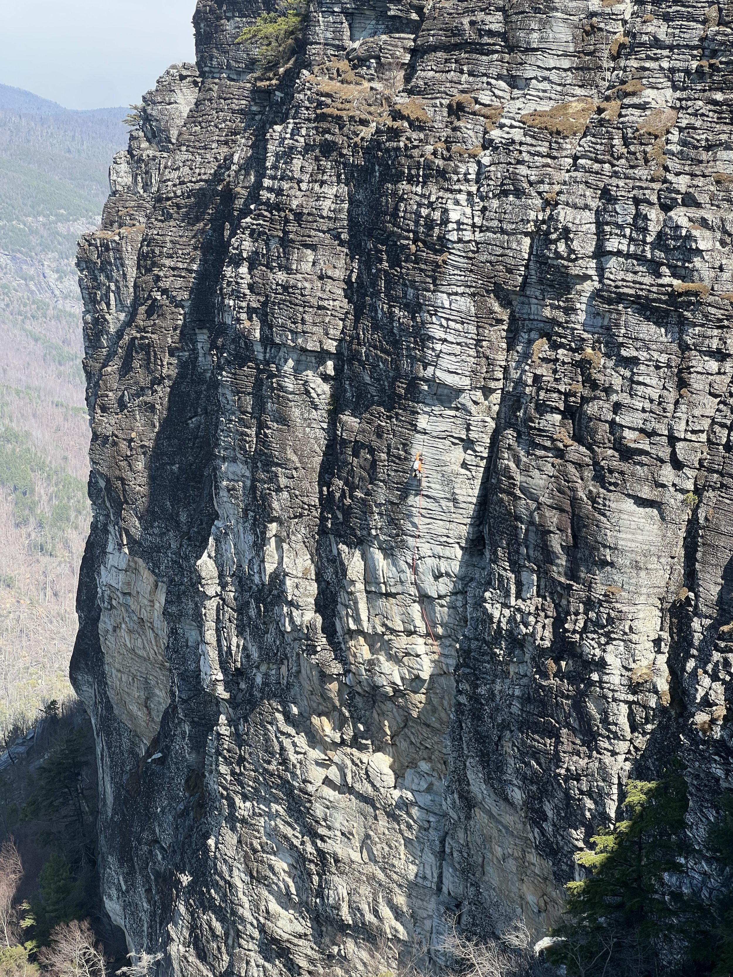 A climber in an orange shirt climbing Dopey Duck at Shortoff Mountain in the Linville Gorge Wilderness.